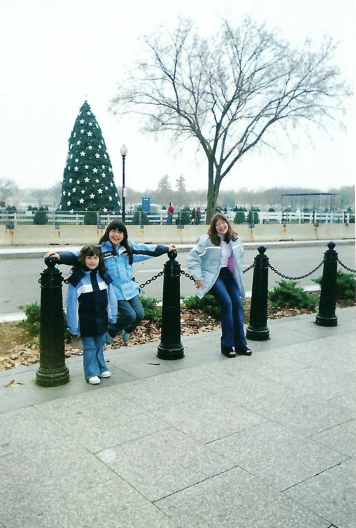 Three children standing behind a black chain-link fence with a large decorated Christmas tree and a leafless tree in the background.