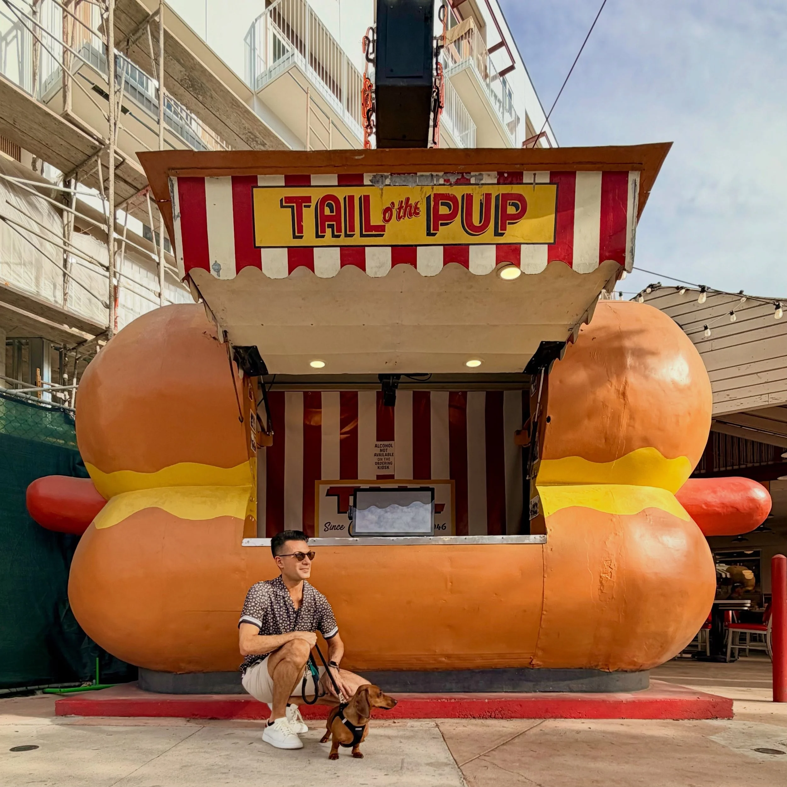 I&rsquo;ve never felt so inadequate. I&rsquo;ve spent my entire life being told I&rsquo;m an impressive little wiener. Then I came to Los Angeles. 😂🌭

Marlowe I 🌭🐾

#weinerdog 
#sausagedog 
#doxie 
#dachshund 
#dachshundsofinstagram