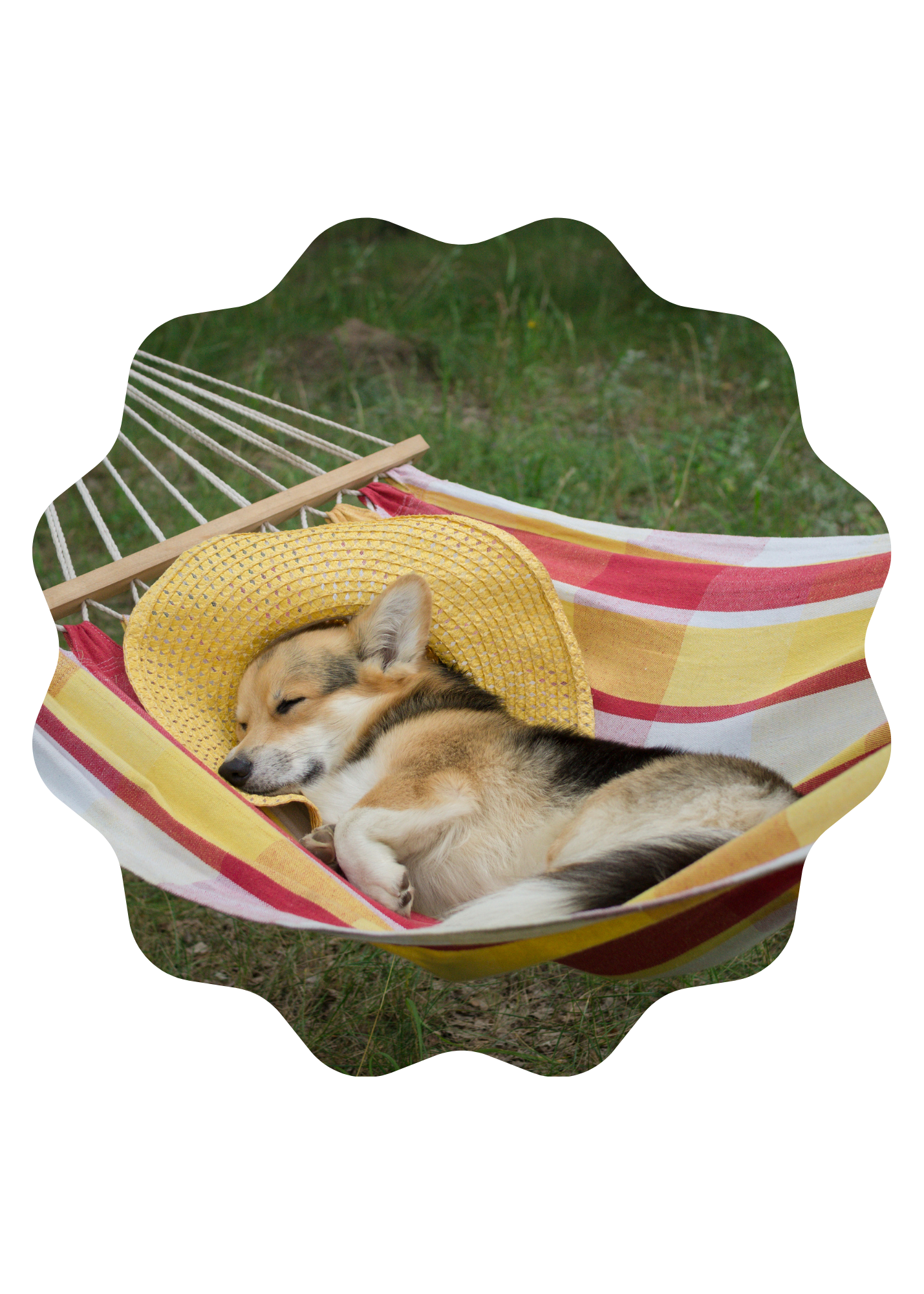 Why We Need Rest (And Why It's Not as Simple as "Just Relax")
