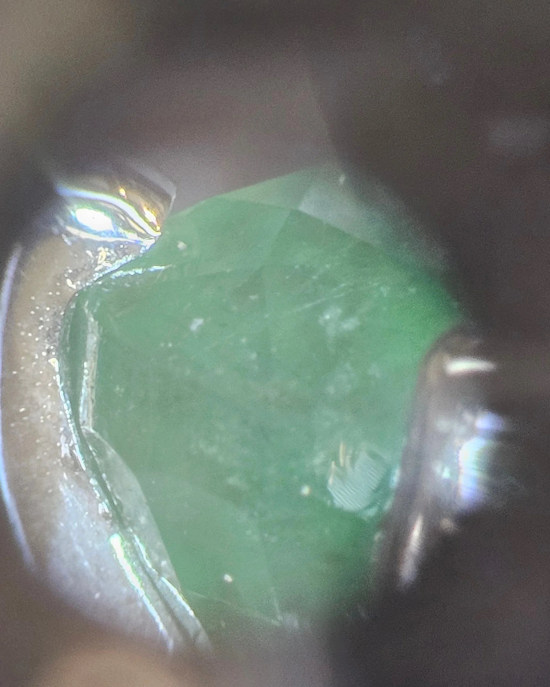 20240923_165539.jpg