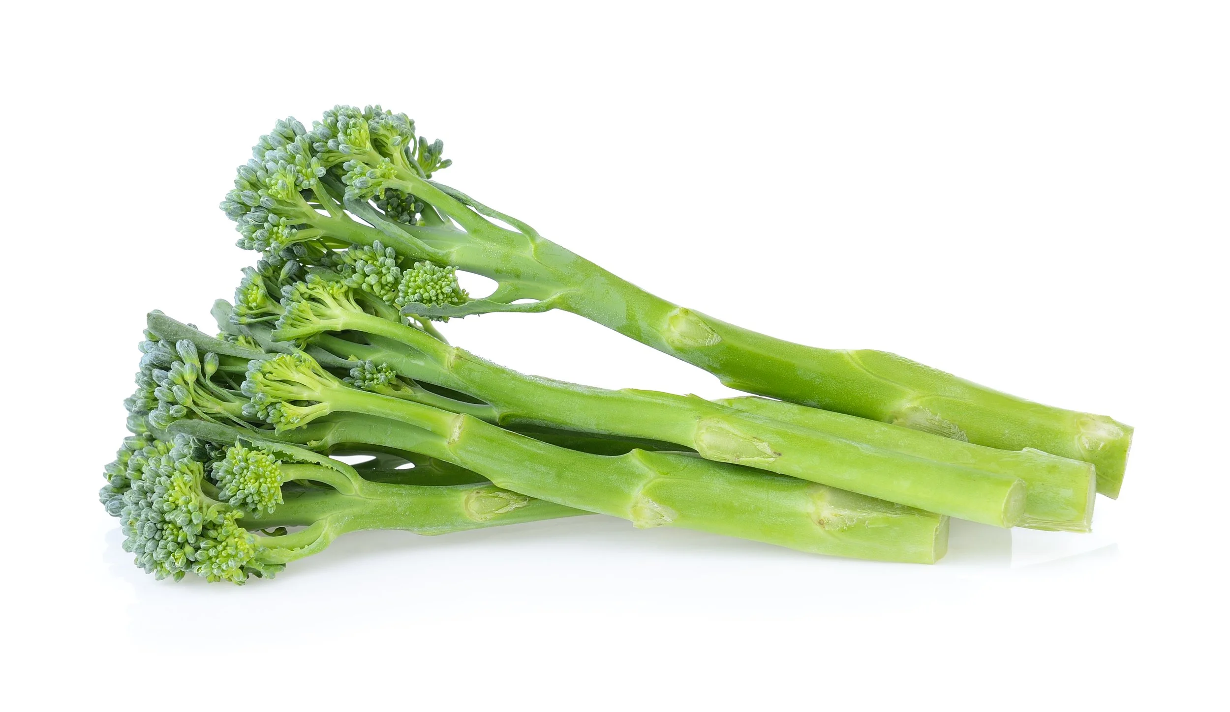 Fresh green broccoli crowns with stalks on a white background.