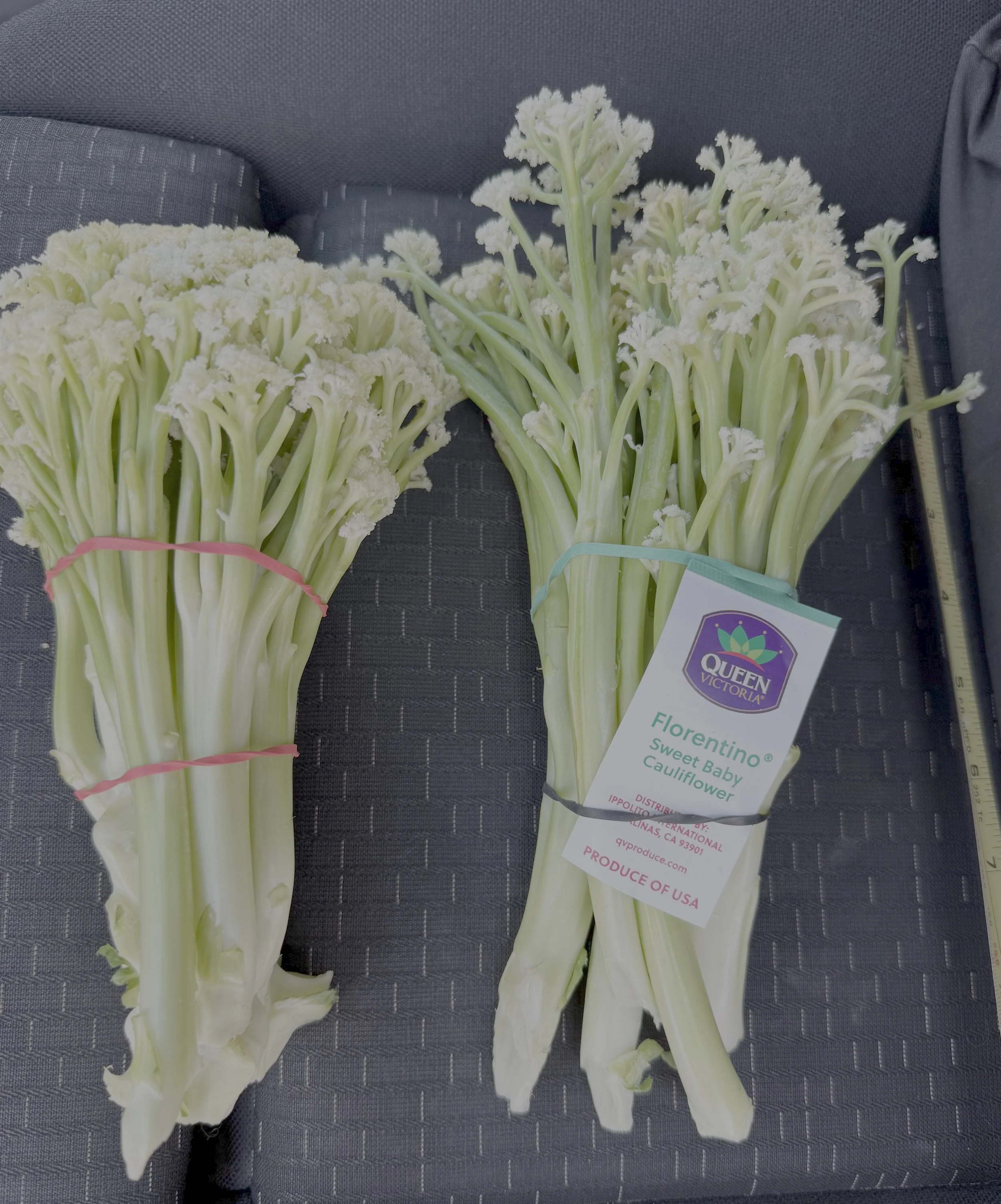 Two bundles of white cauliflower with green stems and flowering tops, tied with pink and light green rubber bands, and a tag that reads 'Queen Victoria' with additional text about the cauliflower variety, placed on a dark textured surface.