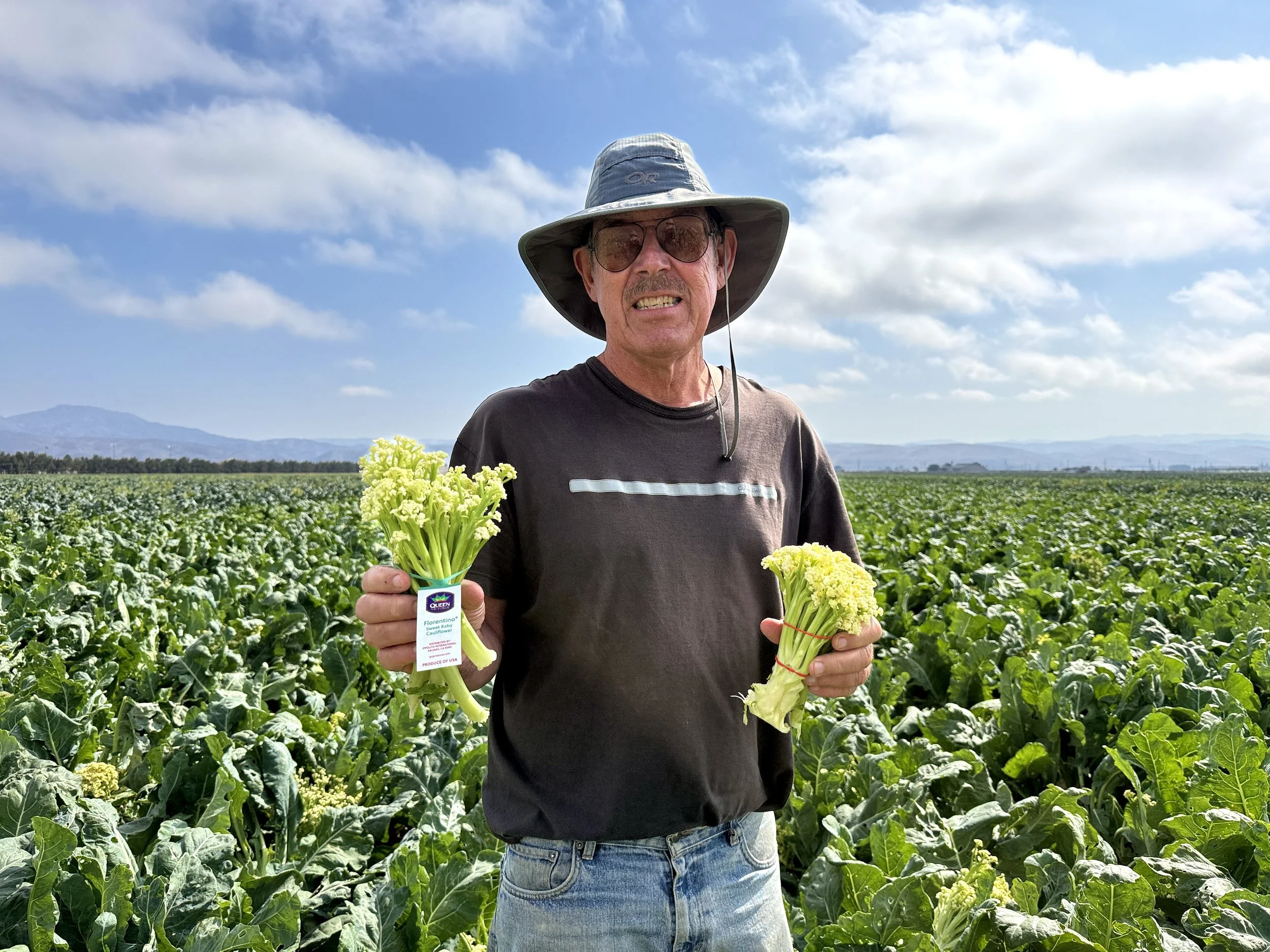 An older man wearing sunglasses, a light gray hat, and a dark t-shirt holding fresh yellow cauliflower florets in a lush green field with mountains and a blue sky with scattered clouds in the background.
