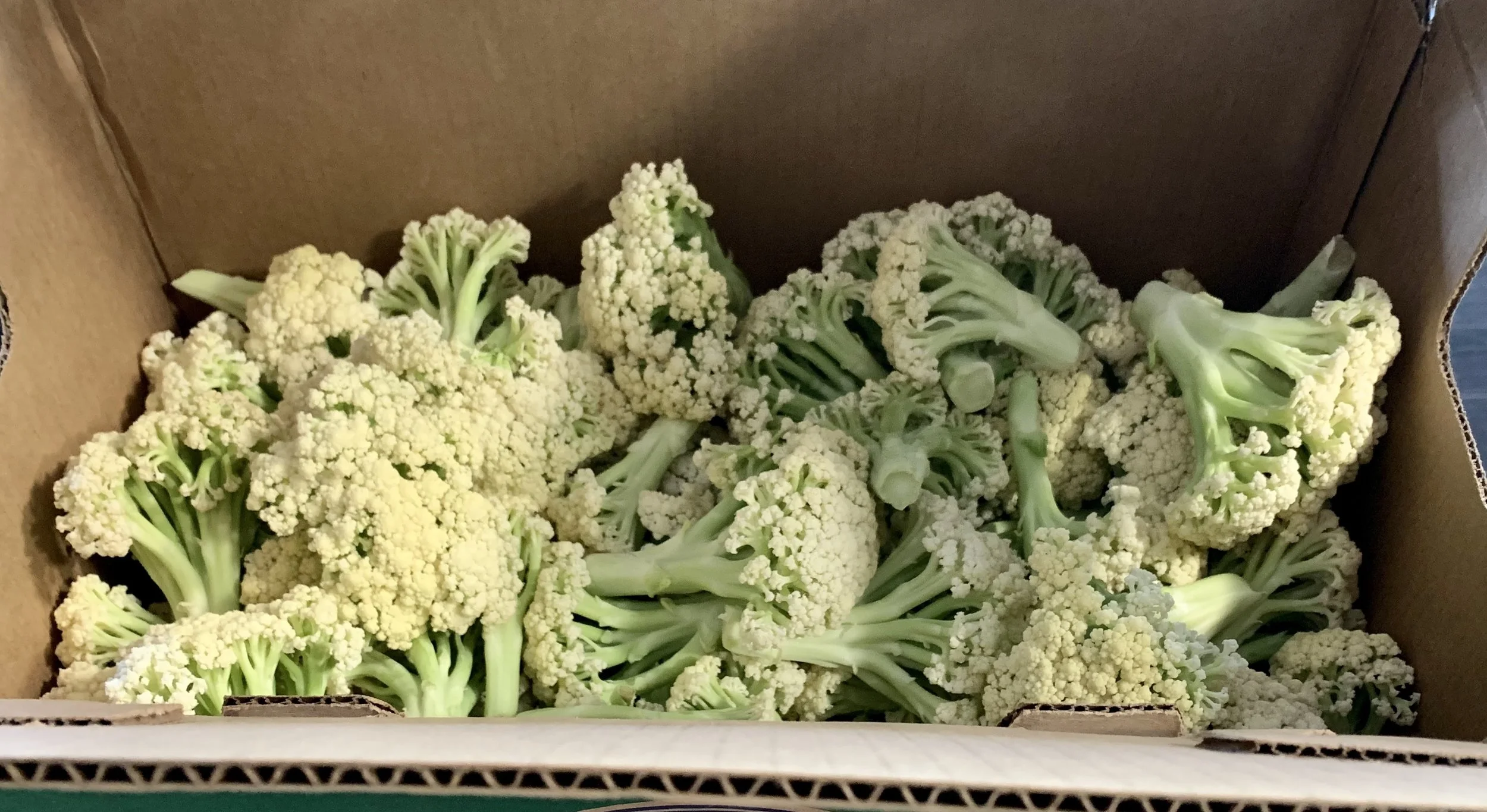 Fresh cauliflower heads in a cardboard box.