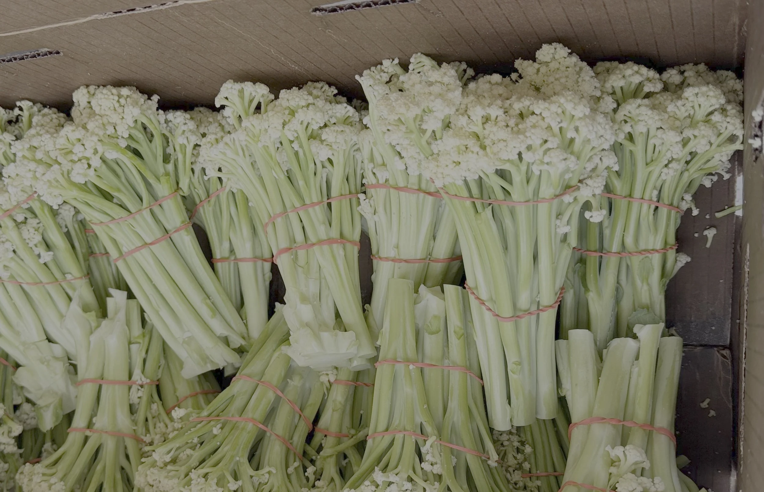 Bundles of fresh cauliflower heads tied with pink rubber bands, arranged in a wooden crate.