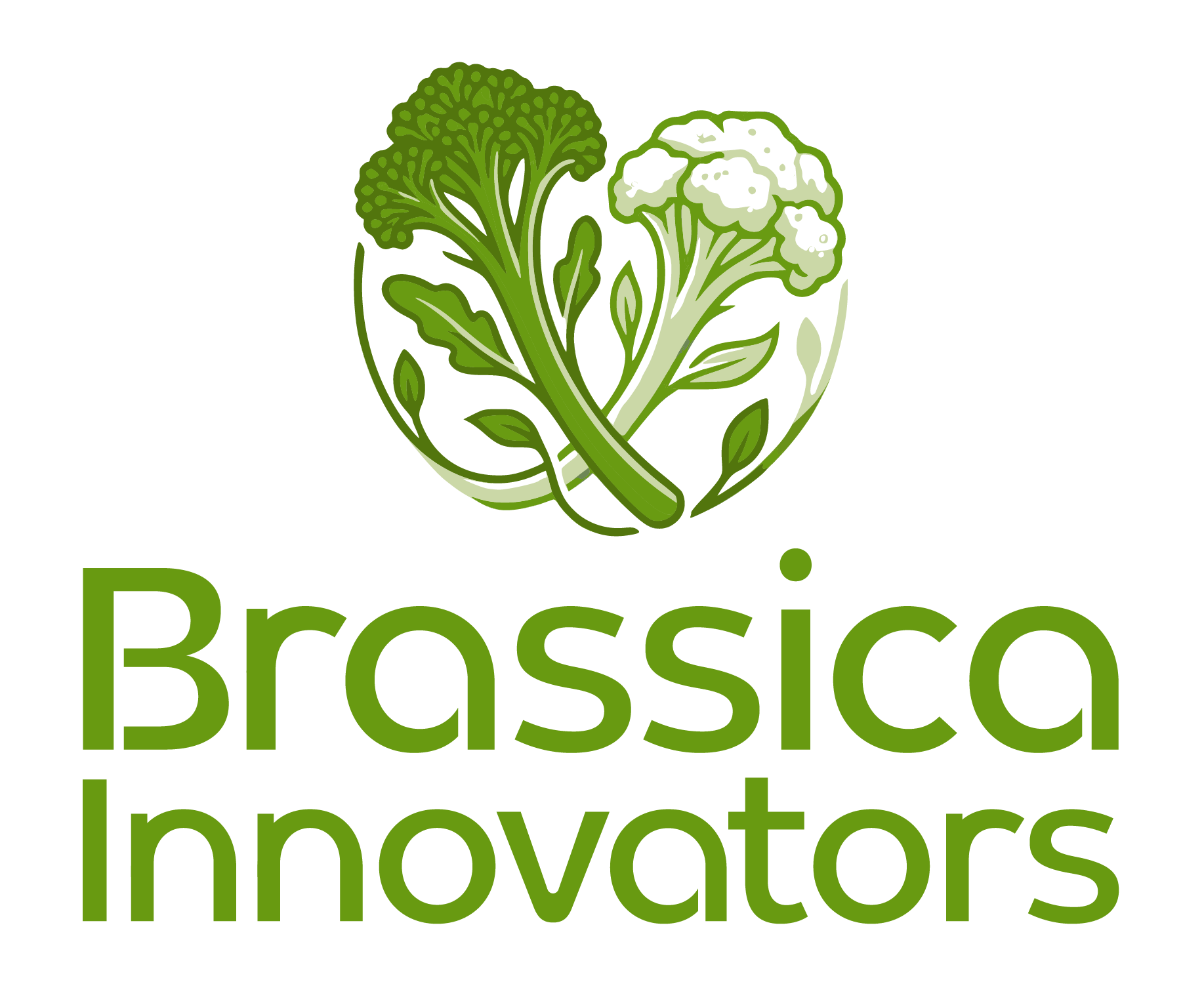 Logo with green broccoli graphic and the words 'Prossico - Food Innovators' in green text.