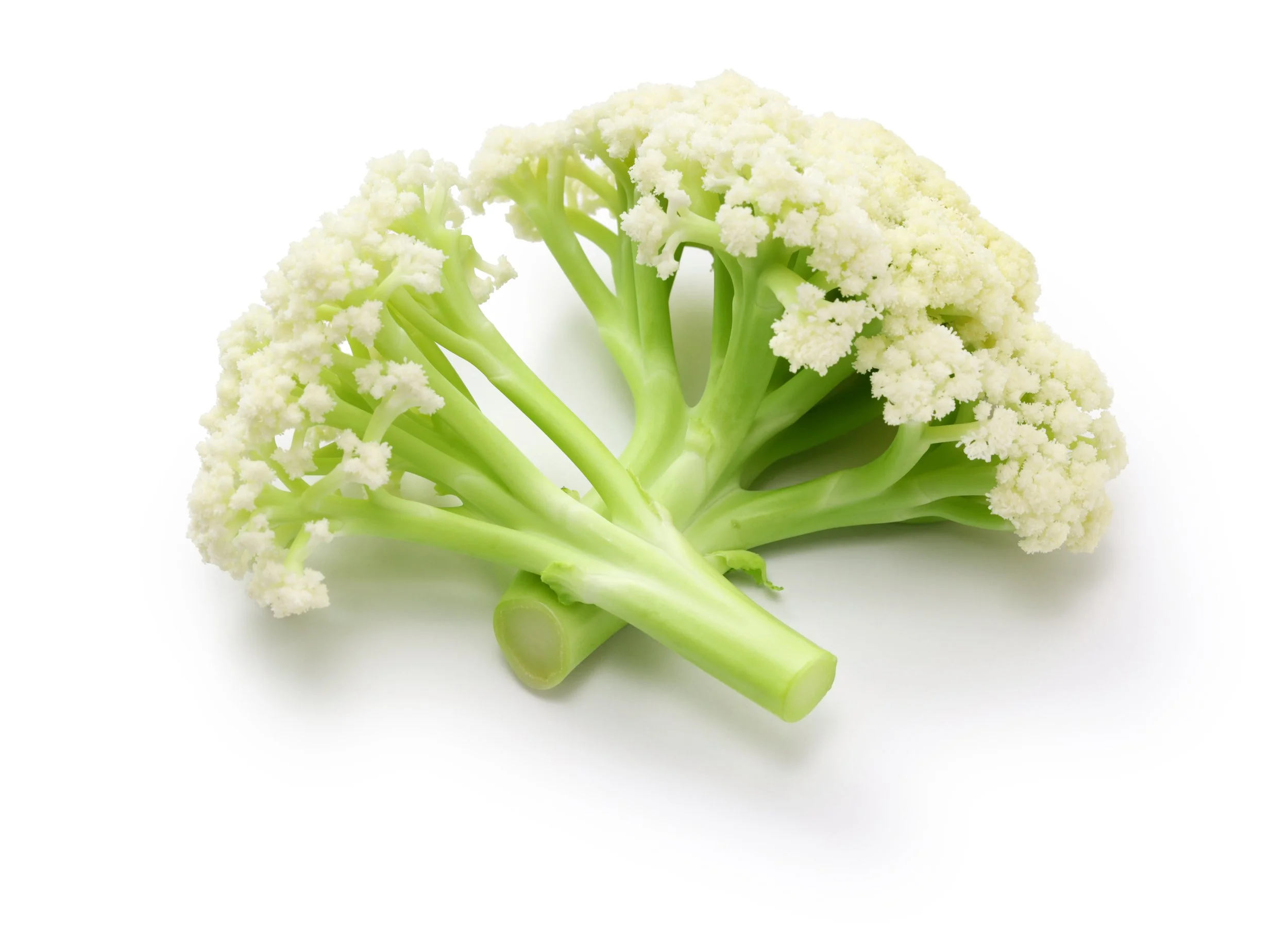 A fresh head of cauliflower with green stems on a white background.