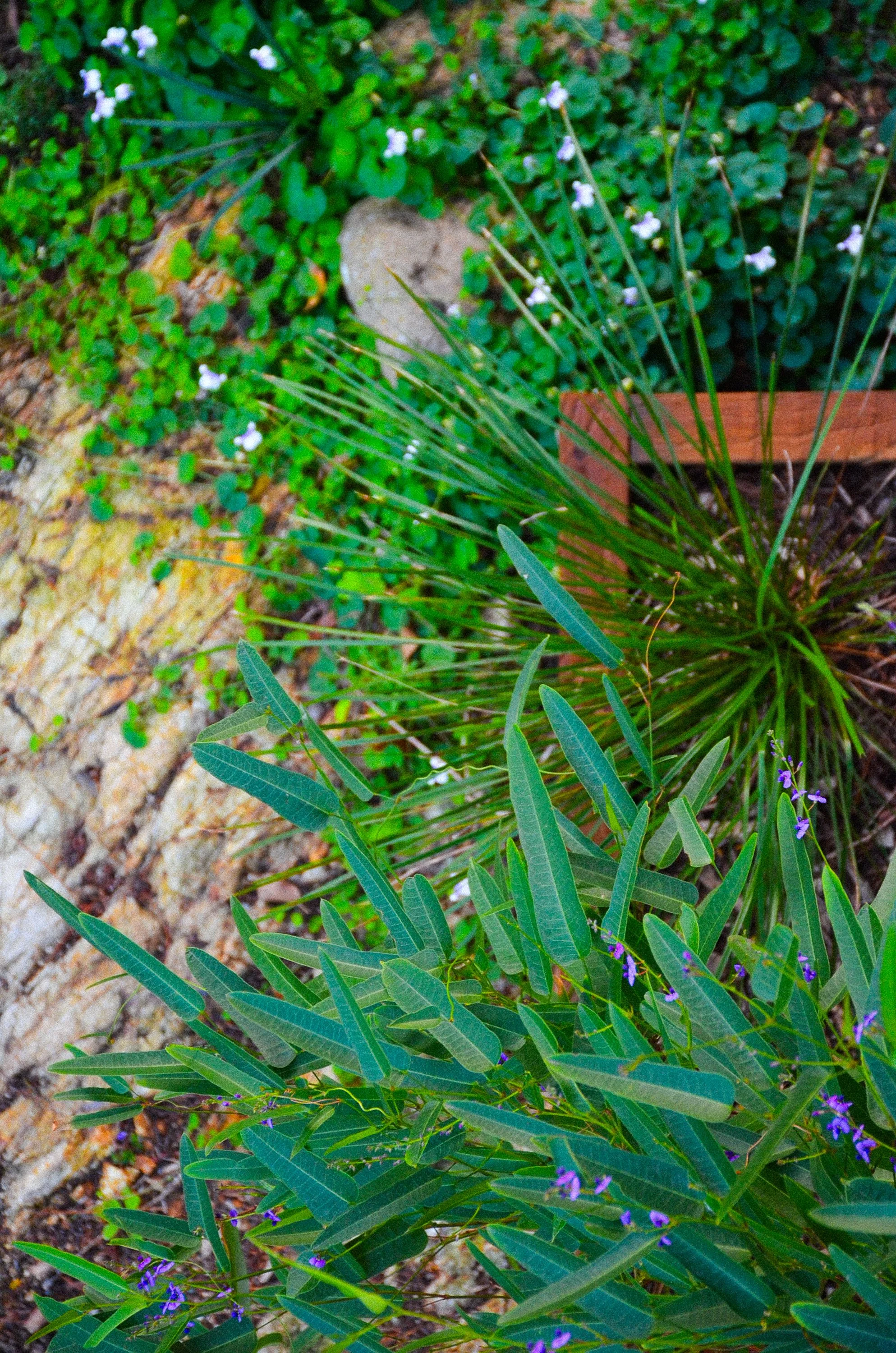 roseglenAfter1-23.jpg