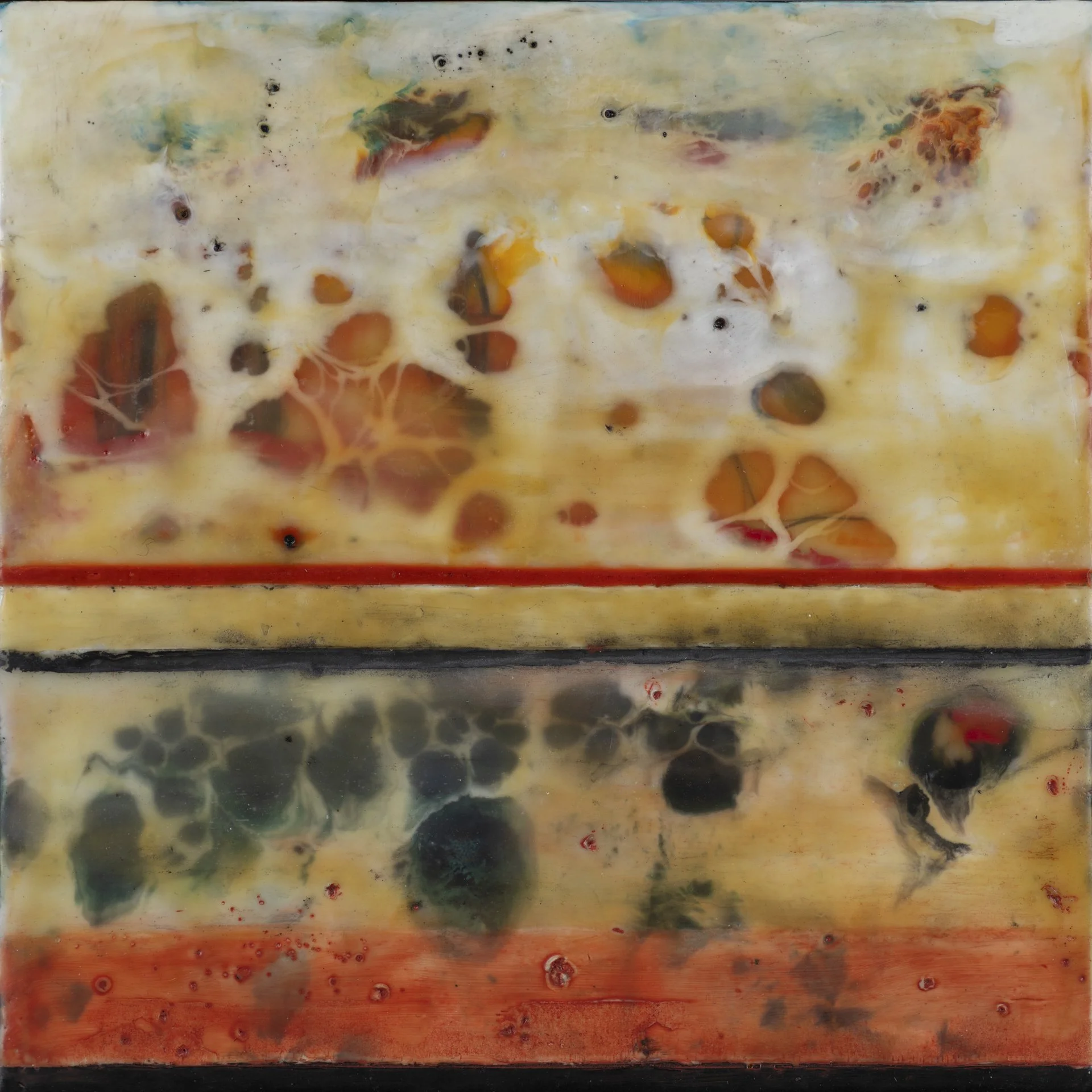 Reflections of Amber and Onyx