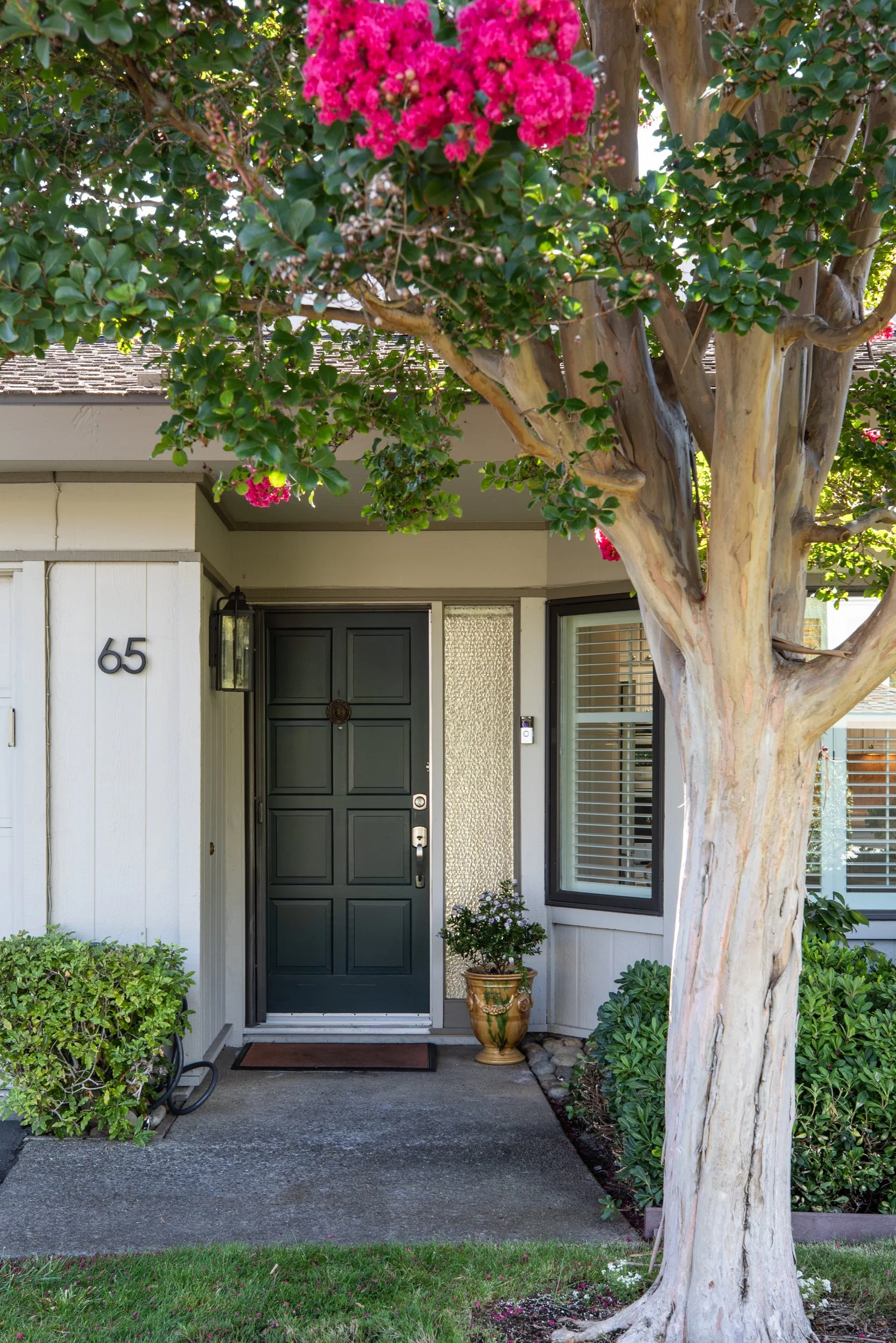 3-BayTree_Matt_Anello-6035-MLS.jpg