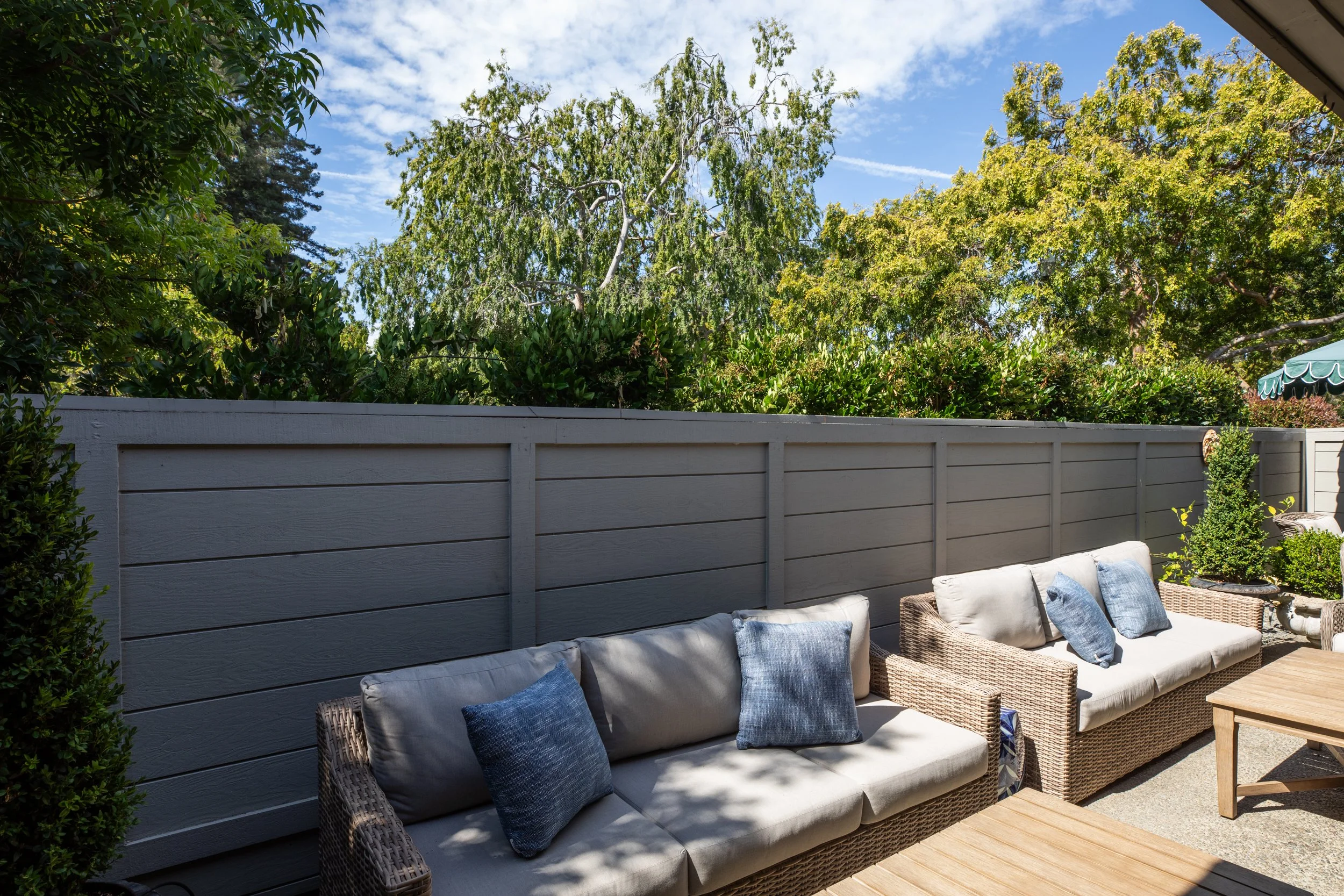 41-BayTree_Matt_Anello-6166-MLS.jpg