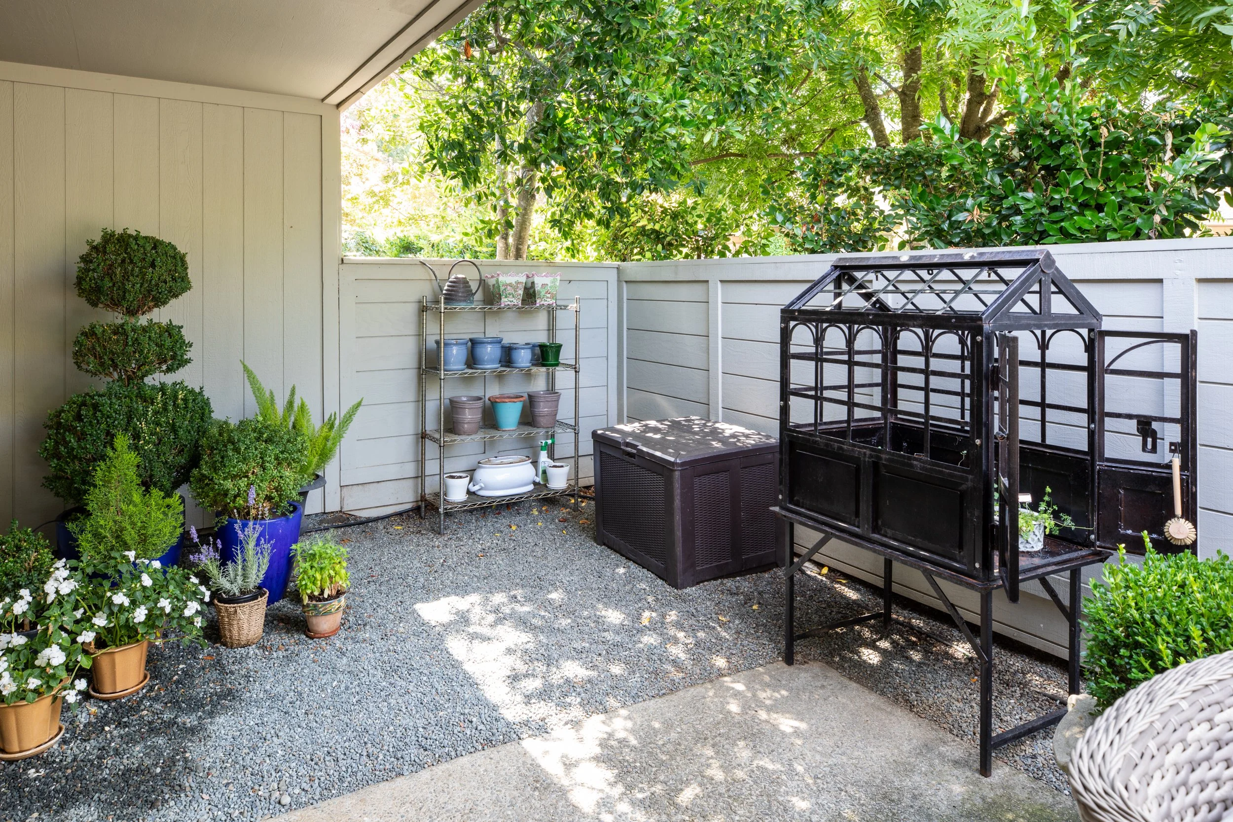 39-BayTree_Matt_Anello-6163-MLS.jpg