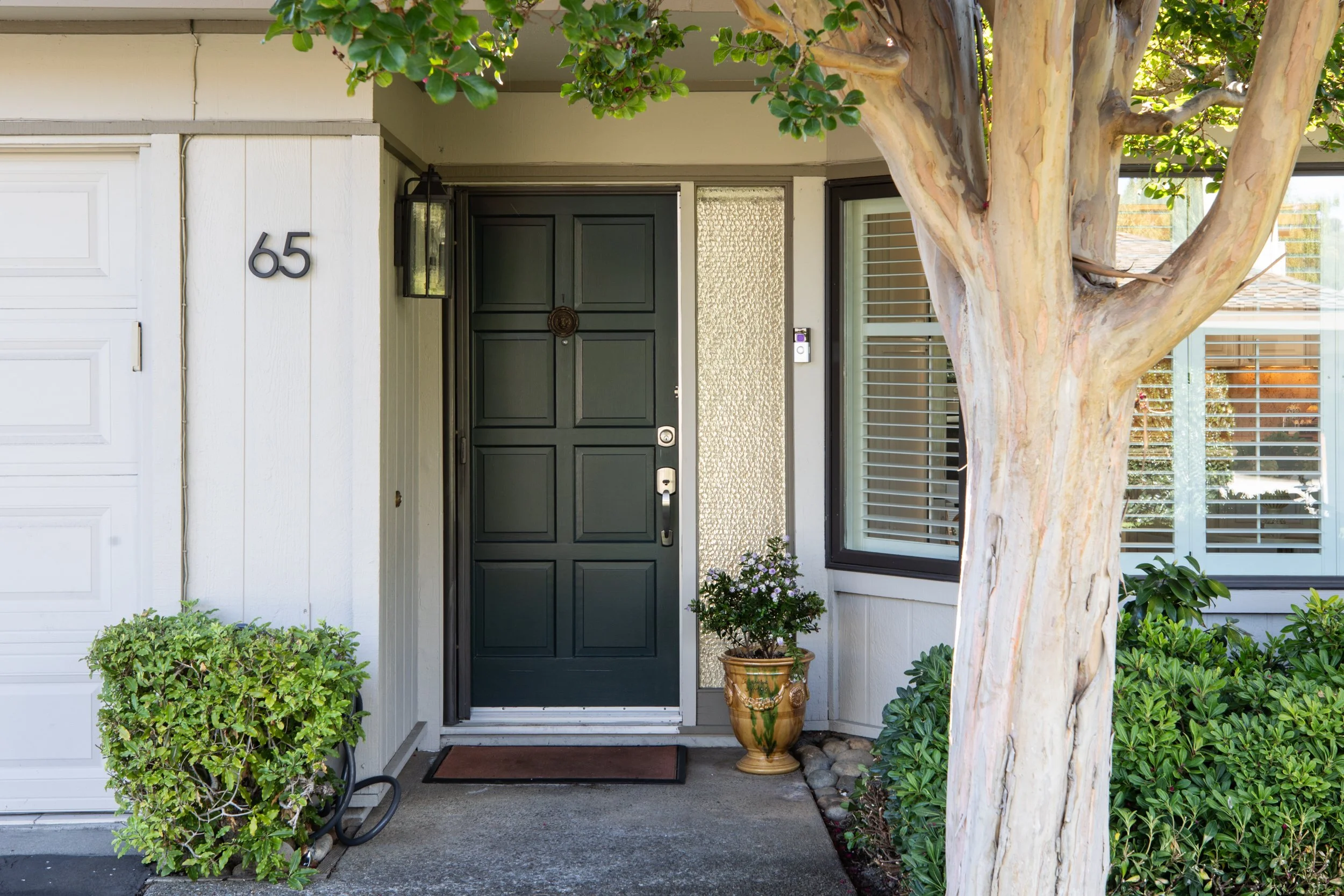 4-BayTree_Matt_Anello-6037-MLS.jpg