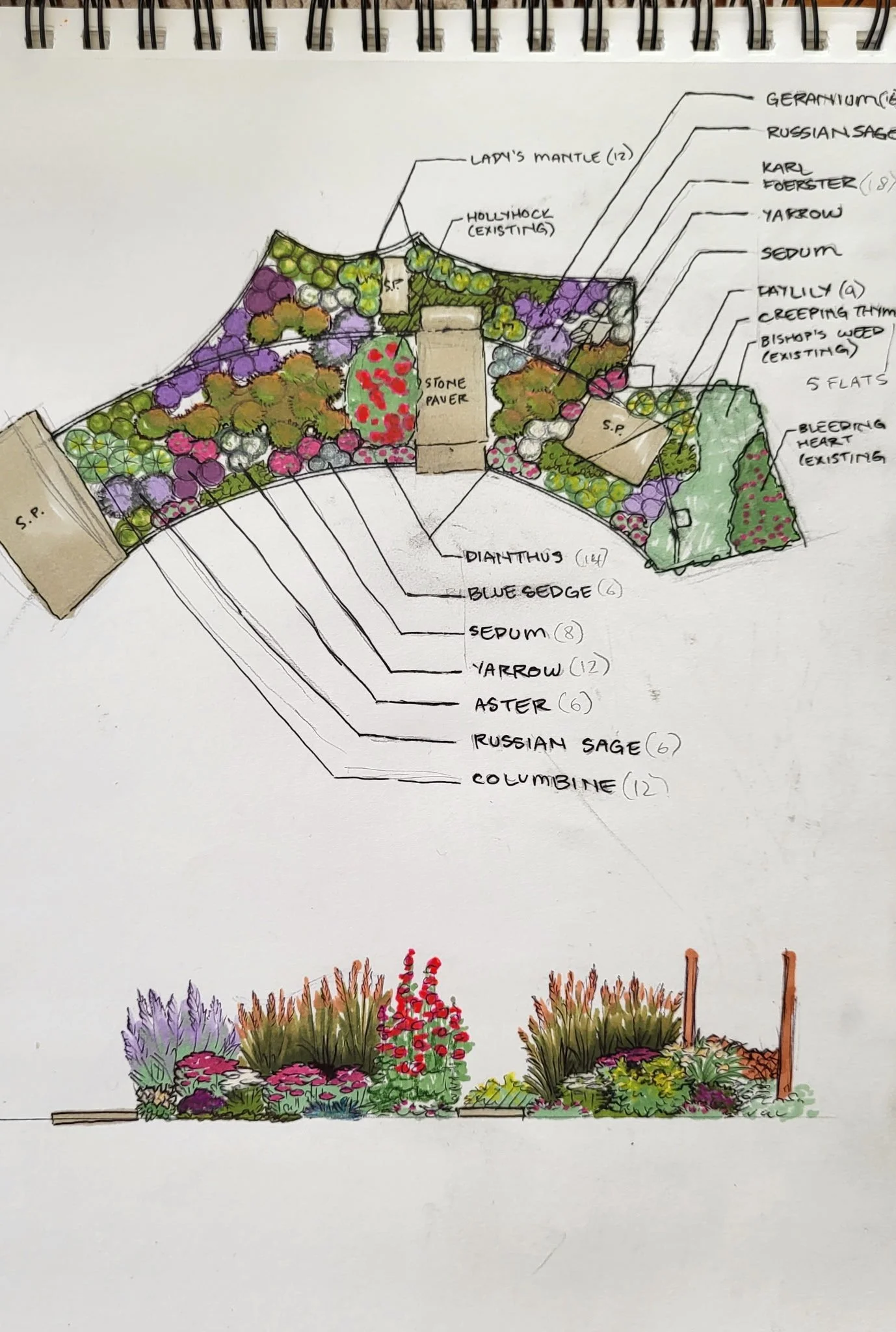 A detailed landscape garden plan with labeled plants and features, including lady's mantle, hollyhock, sedum, yarrow, cattails, bishop's weed, bleeding hearts, and various other plants, with annotations indicating plant quantities and positions.