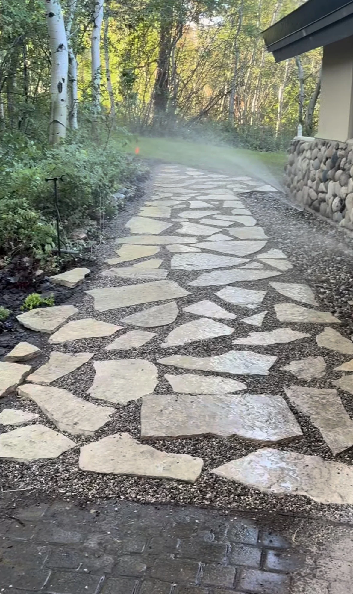 A flagstone walkway winding through a wooded area beside a house.