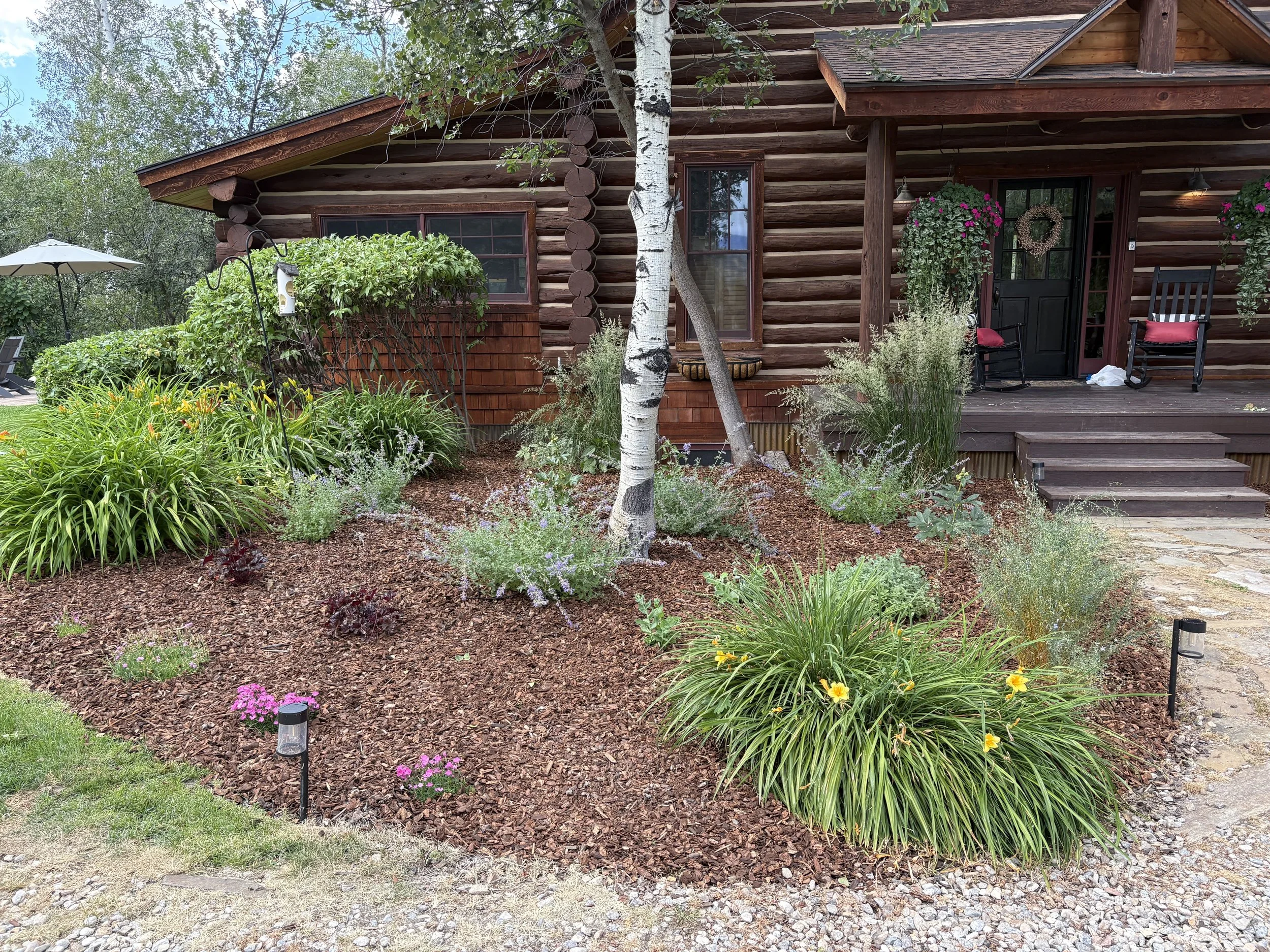 A wooden house with a porch, surrounded by a garden with flowering plants, bushes, and trees. There is a white birch tree in front of the house and two rocking chairs on the porch. The garden has mulch and small landscape lights.