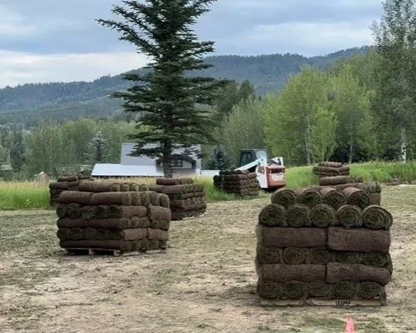 Stacks of rolled sod or turf arranged on pallets outdoors with trees and mountains in the background.