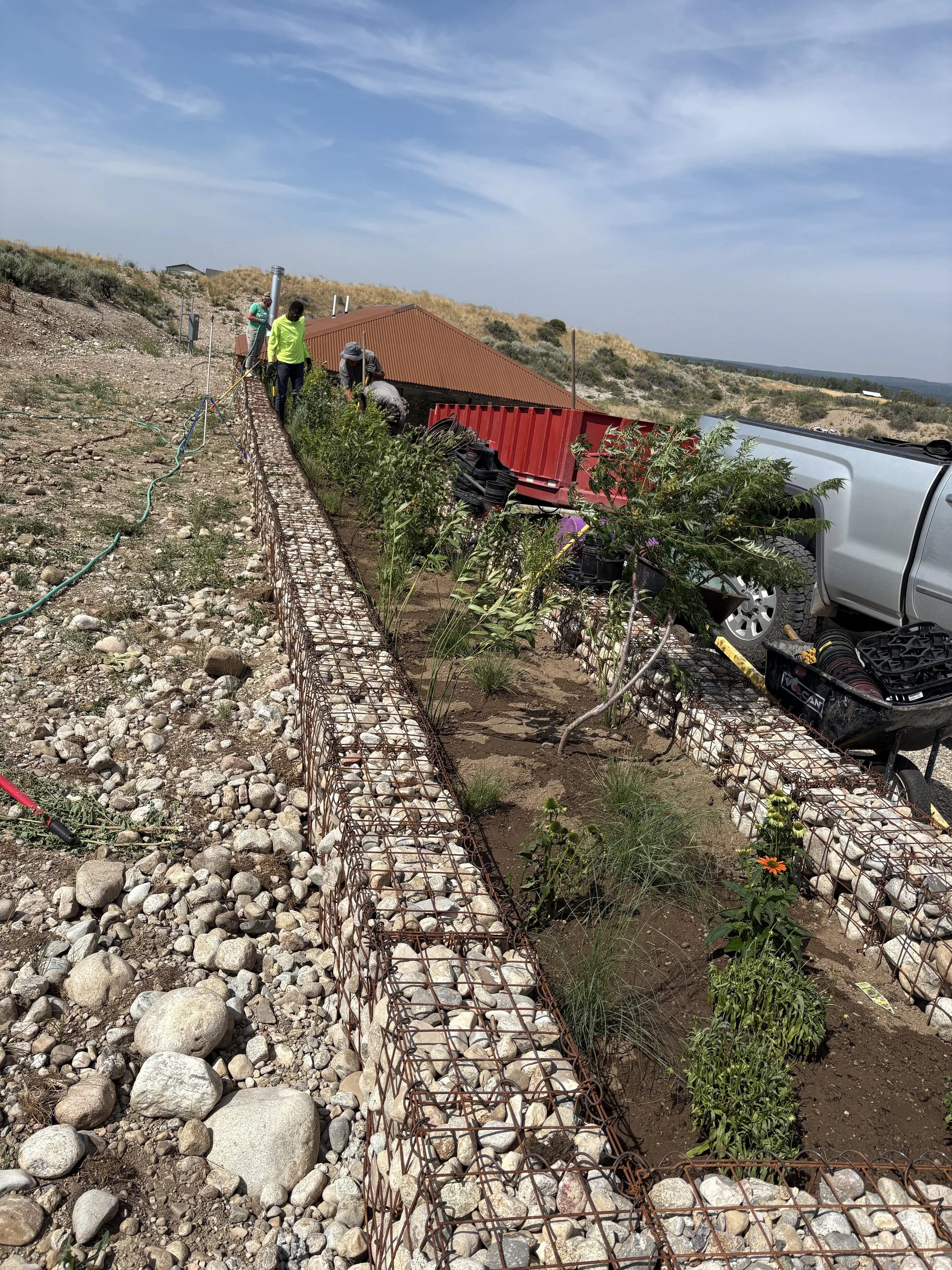 Workers planting vegetation inside a rocky area with wire fencing and a pickup truck nearby, under a partly cloudy sky.