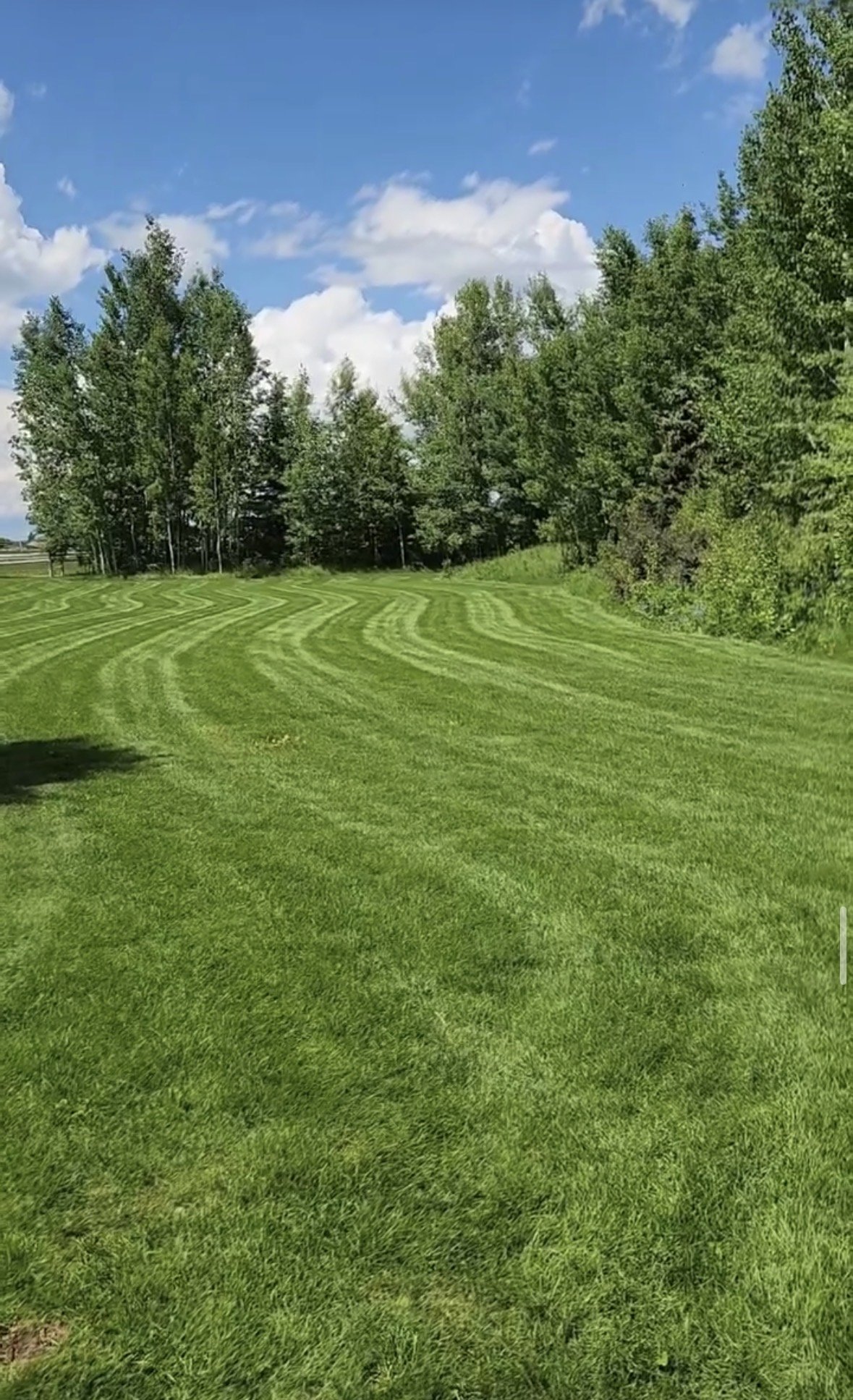 A well-maintained grassy lawn with alternating light and dark green stripes, bordered by trees under a partly cloudy blue sky.