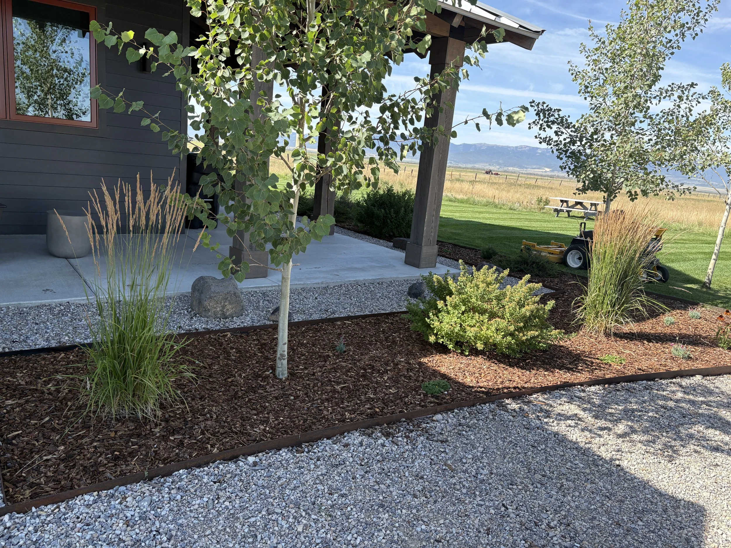 View of a landscaped yard with a gray house, a small tree, a garden bed with grass and bushes, a wooden picnic table, and a tractor in the background with mountains and cloudy sky.