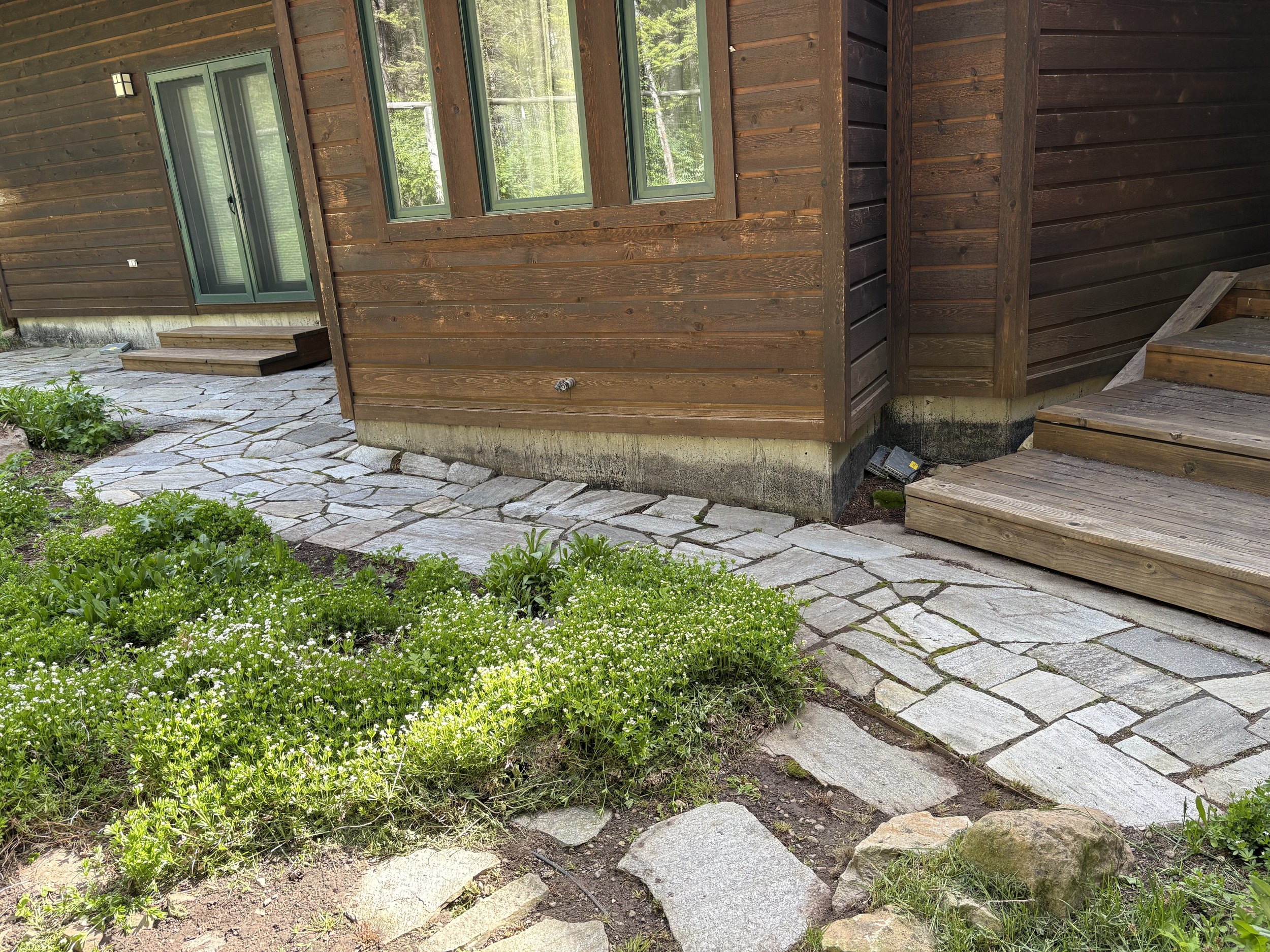 Wooden house exterior with stone pathway, stairs, windows, and surrounding green plants and trees.