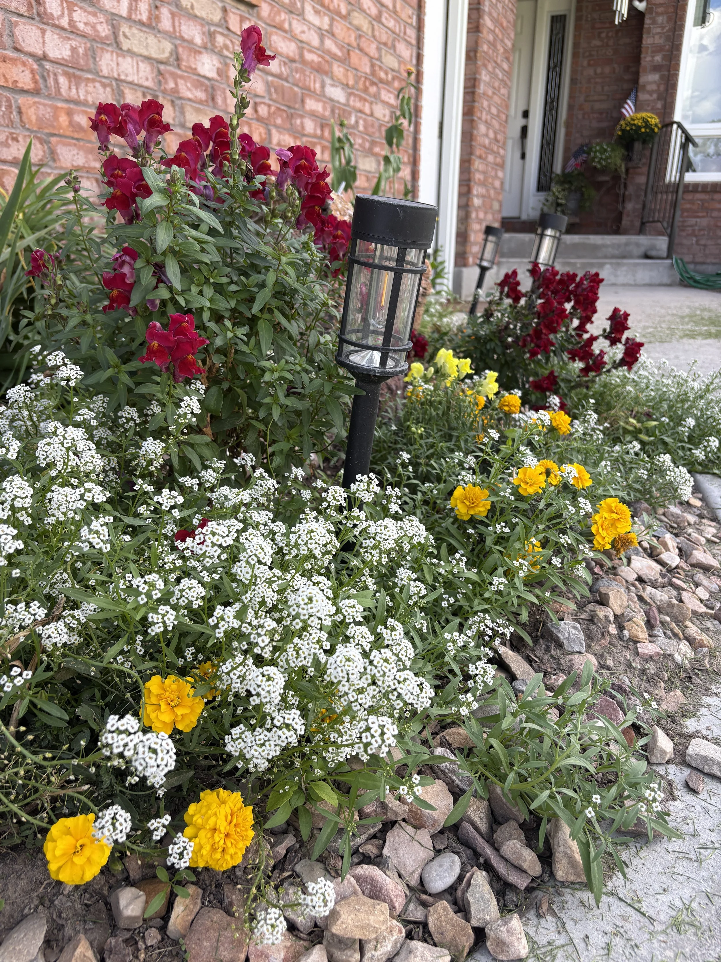 Flower bed with red, yellow, and white flowers in front of a brick house, with a pathway and a black outdoor light fixture.