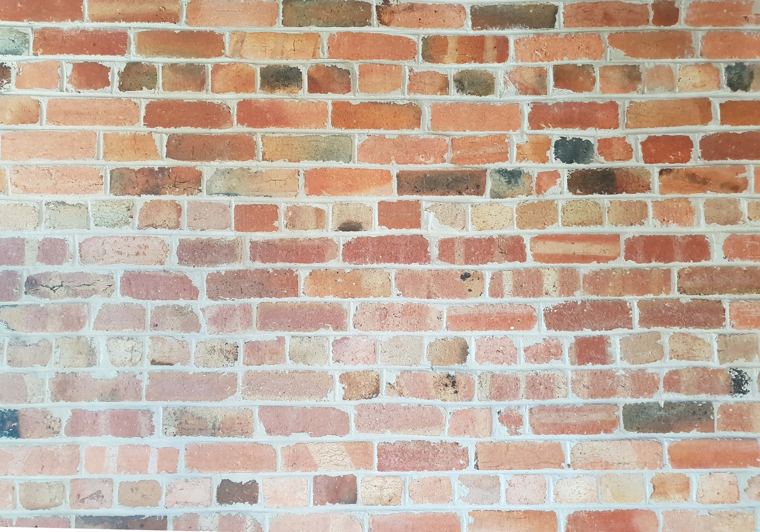 20190120_172127.jpg