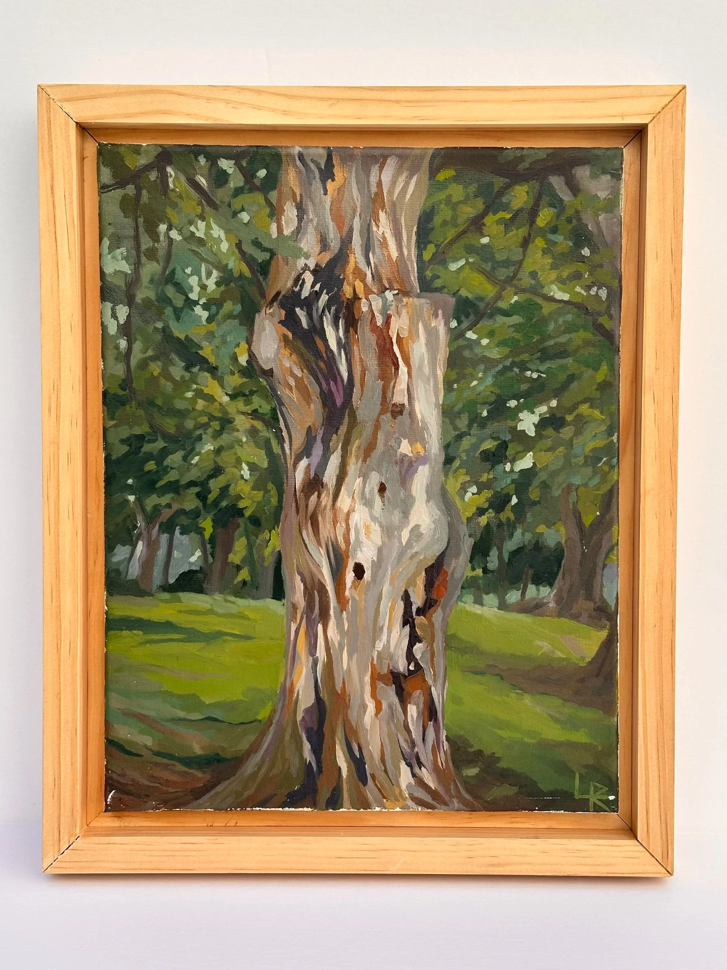  Blues & Roots 
Oil on Canvas
 ? 
2026