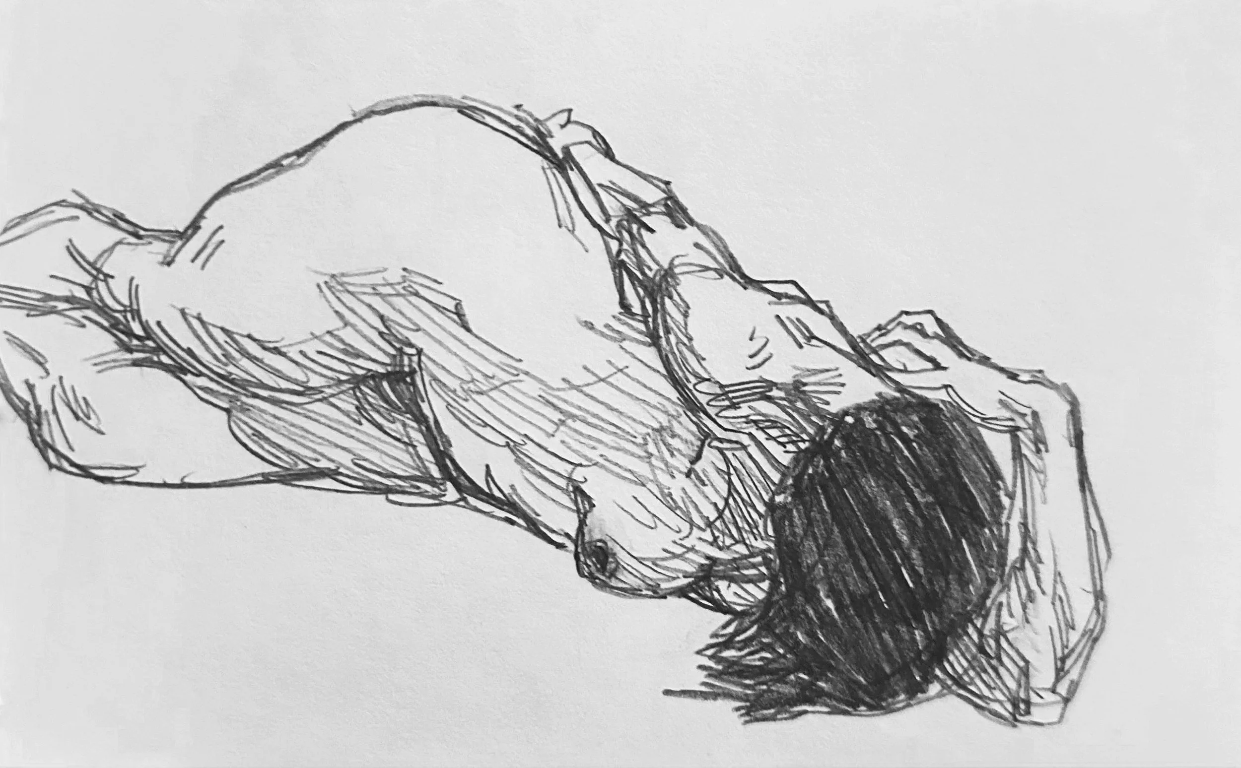  Reclining Nude 
Graphite on Paper
 ? 
2025