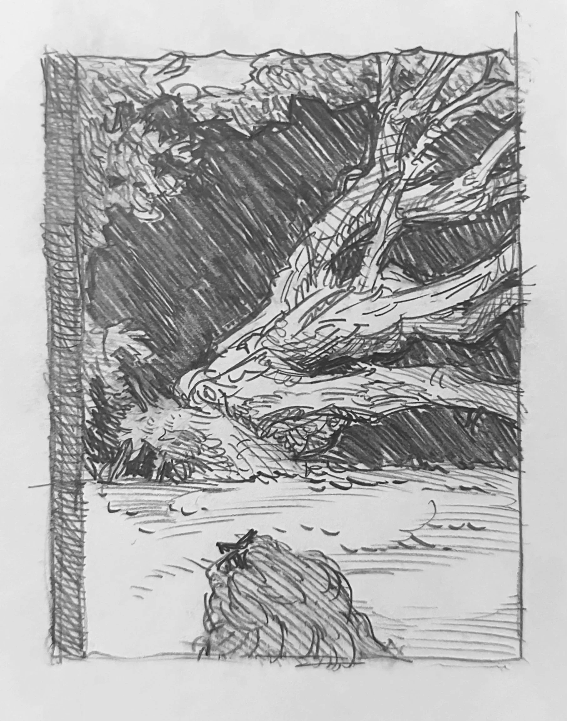 The Tree Behind The Studio 
Graphite on Paper
 ? 
2025