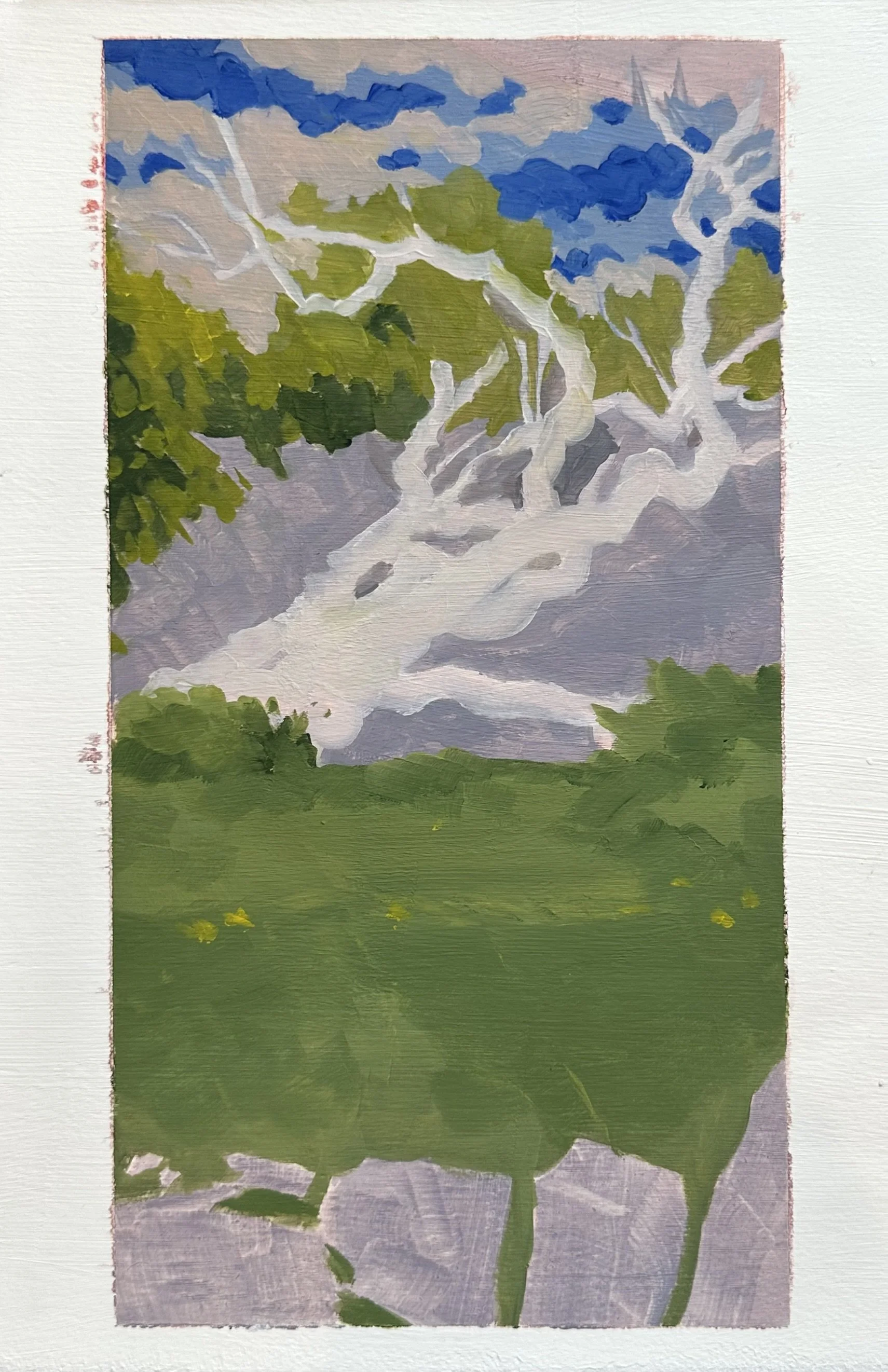  Tree Arching Behind The Studio 
Oil on Paper
6 x 10.5"
2025 (Unfinished)