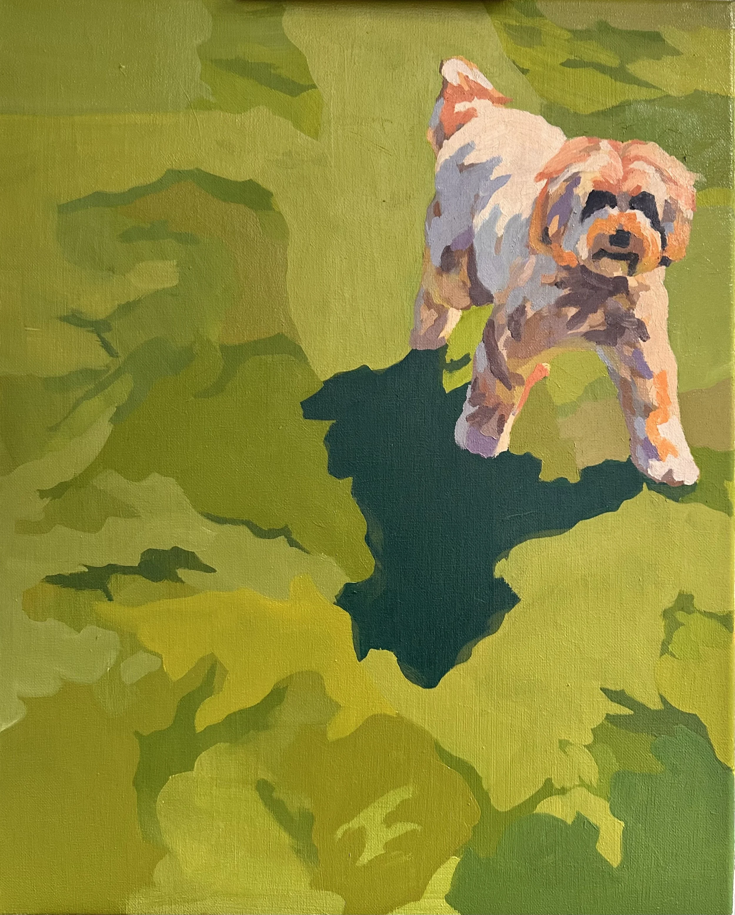  Dog 
Oil on Canvas
16 x 20"
2026 (Unfinished)