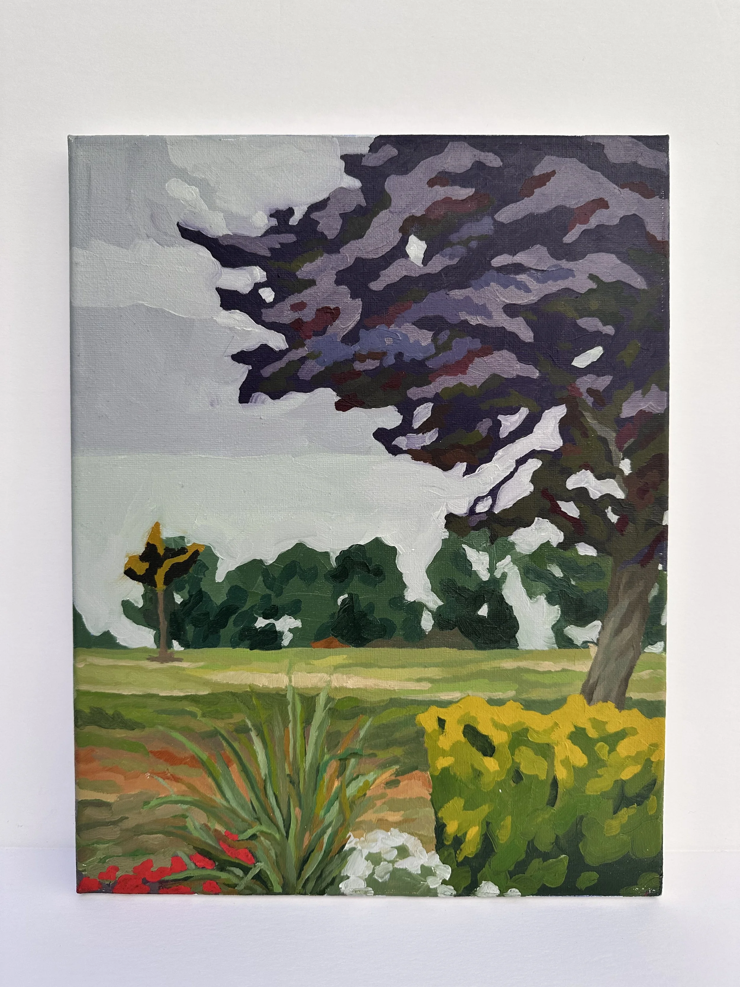  Northern Sky 
Oil on Canvas
 ? 
2026