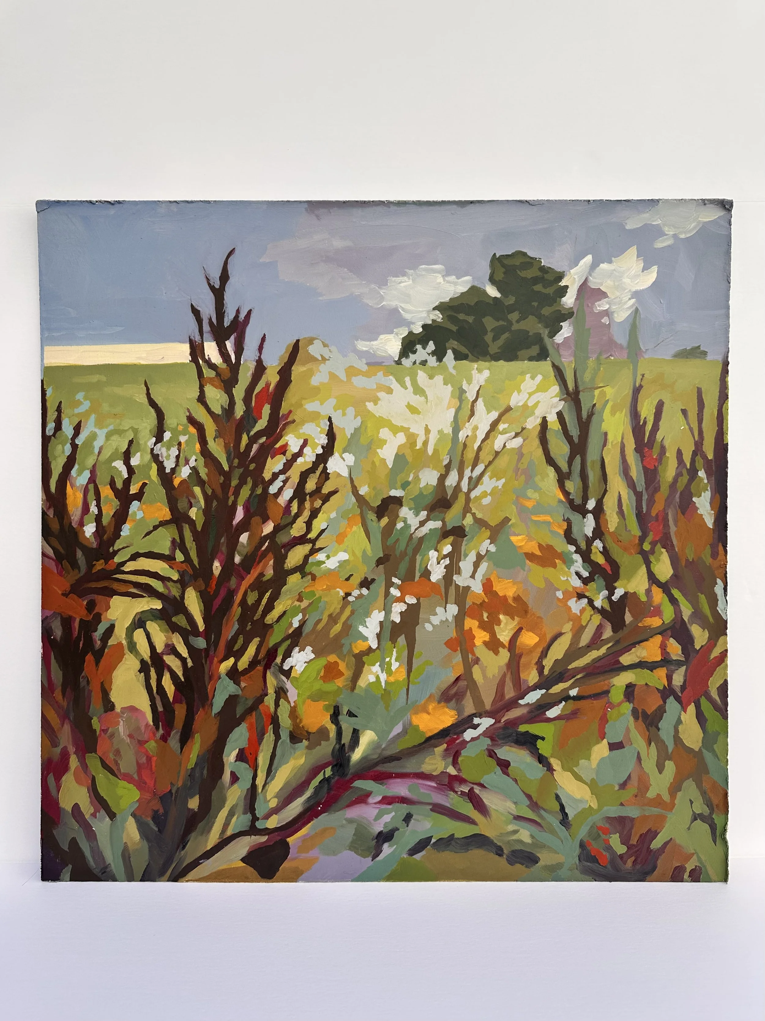  731 N. Penryn Rd 
Oil on Masonite
24 x 24"
2026