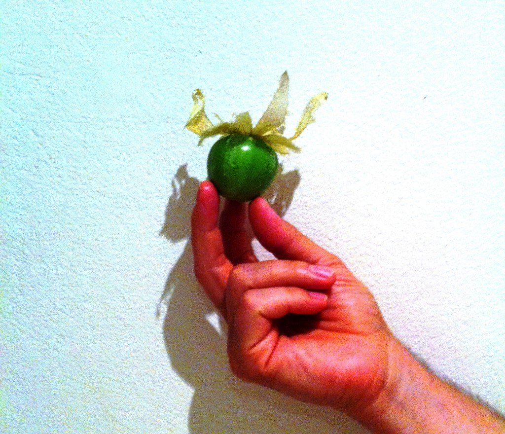 Recipe: Tomatillo Salsa