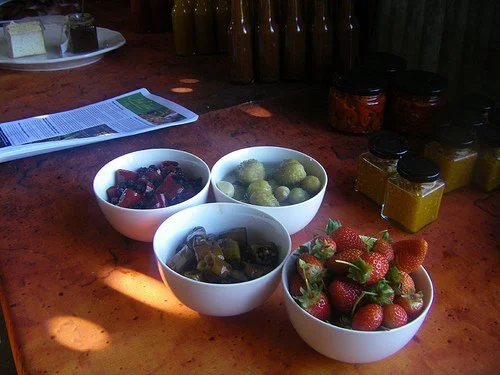Sydney International Food Festival Food Tours