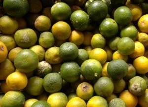 The Best Tart Shells / Recipe for Key Lime Tarts