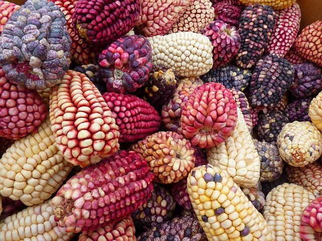 Native American Indian Food Comes To Australia