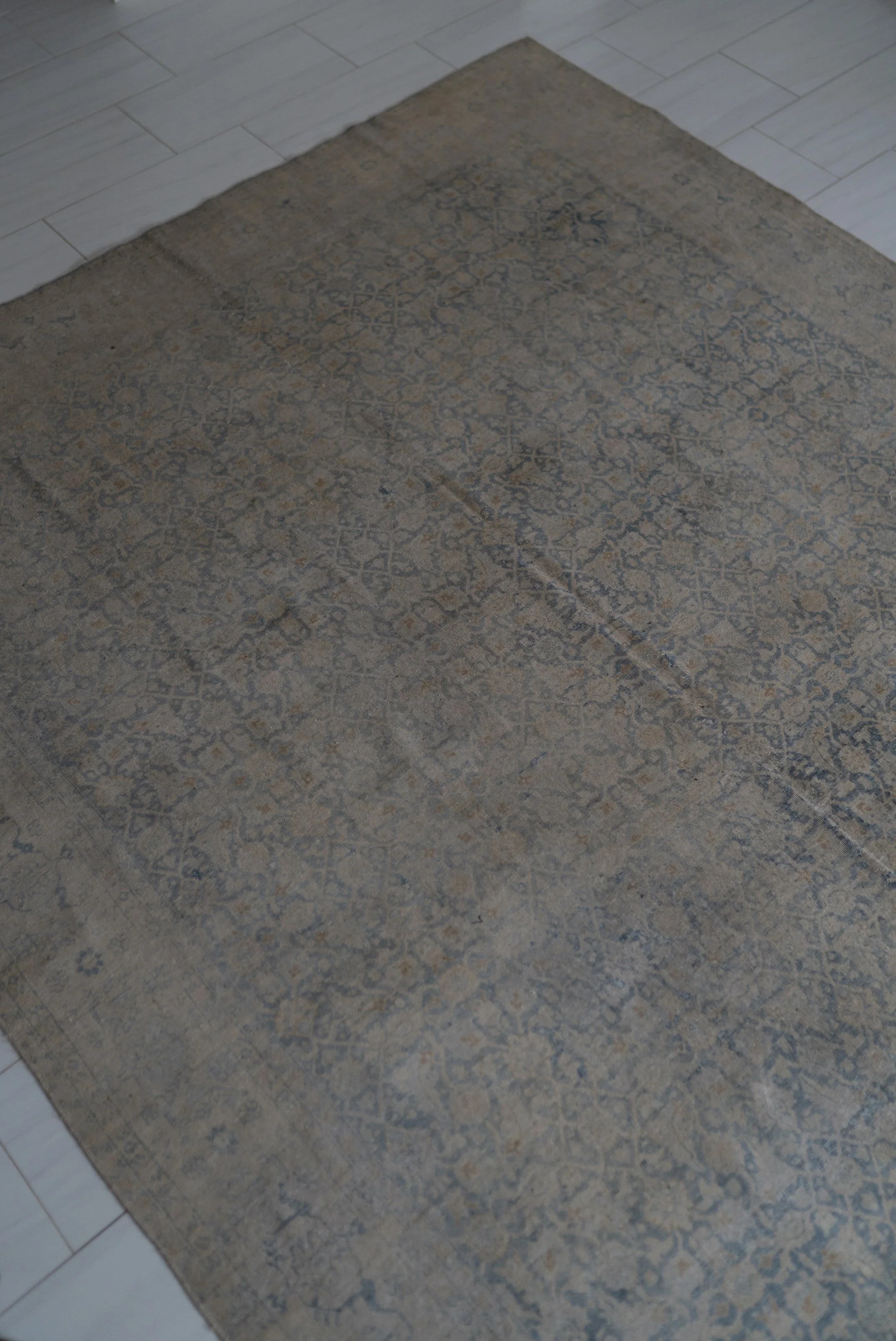 DSC06566.jpeg