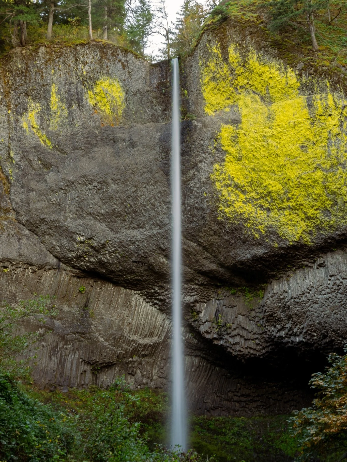 Some waterfall shots from Oregon

#PNW #Oregon #waterfall #nikon