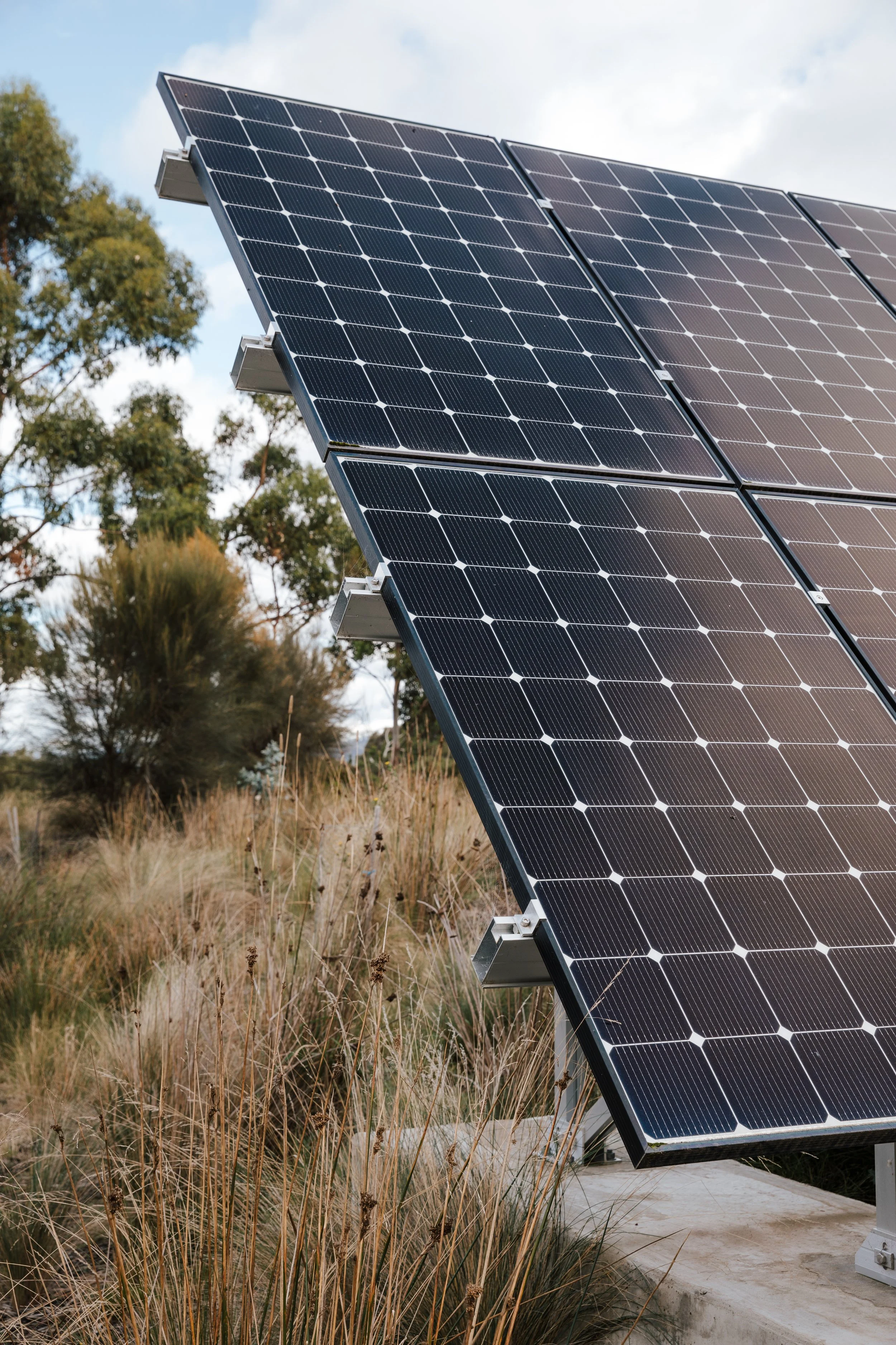 Close-up of black solar panels installed on a concrete platform with dry grass and trees in the background.