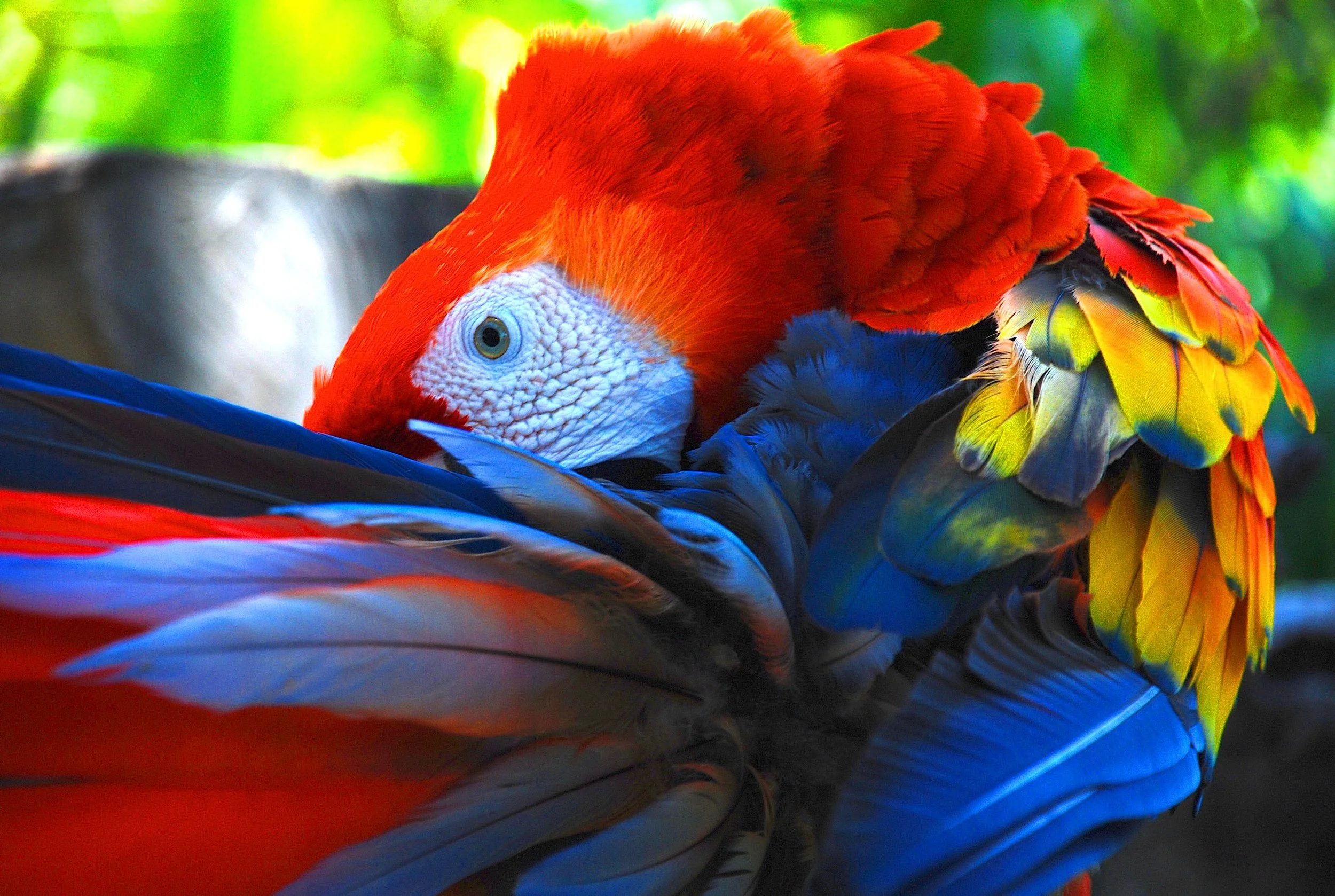 DSC_0166_modifié-1.jpg