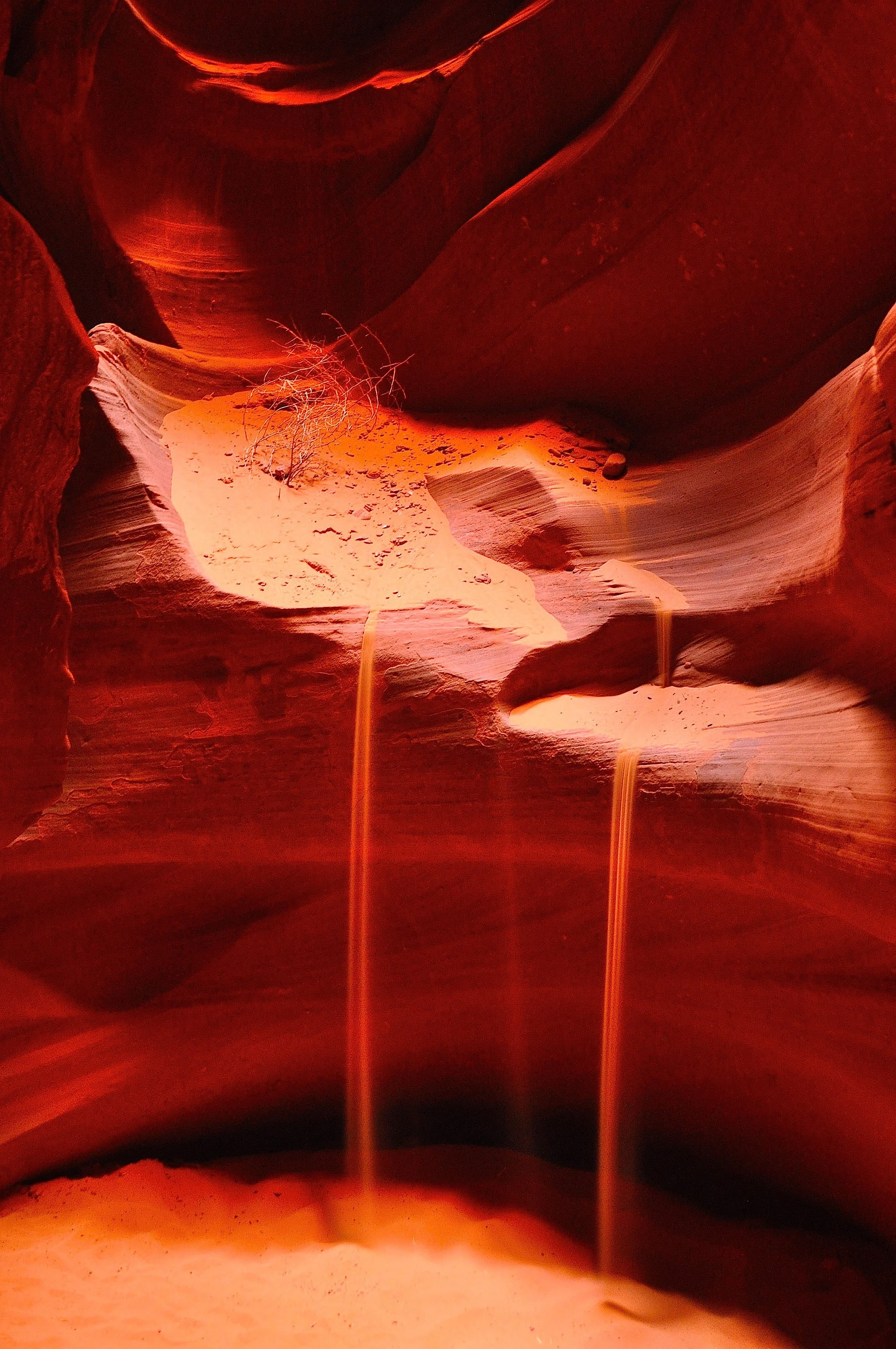 antelope 6.jpeg