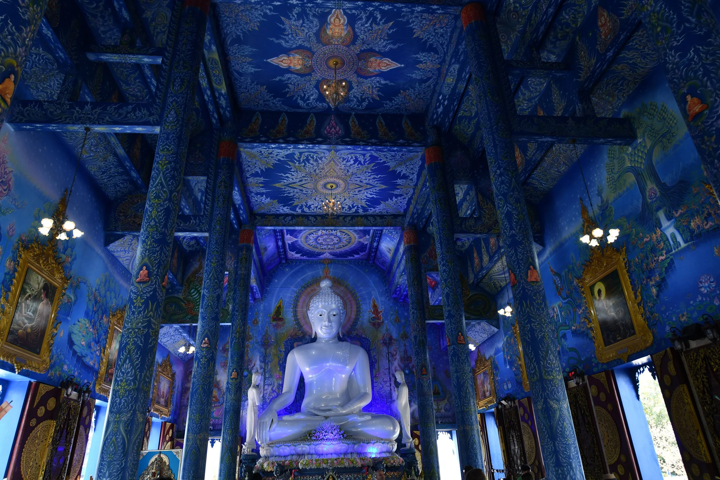 DSC_3737.jpg