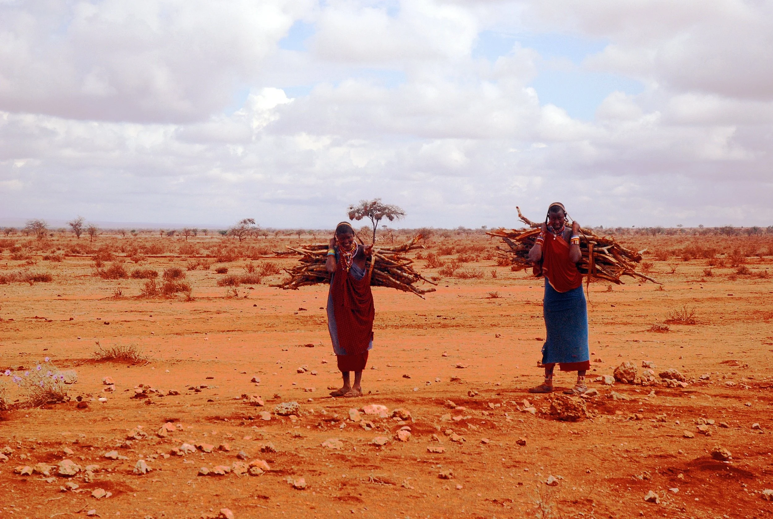 masai bois_modifié-1.jpg