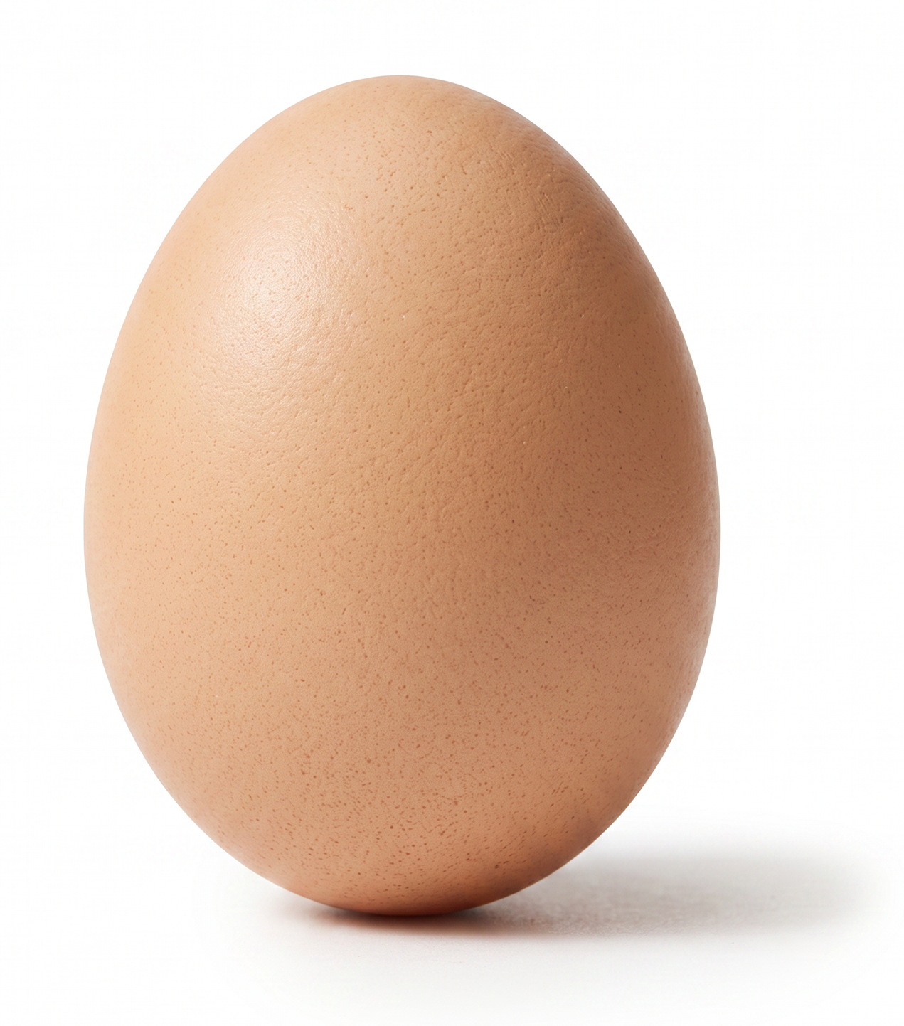Close-up of a brown chicken egg against a white background.