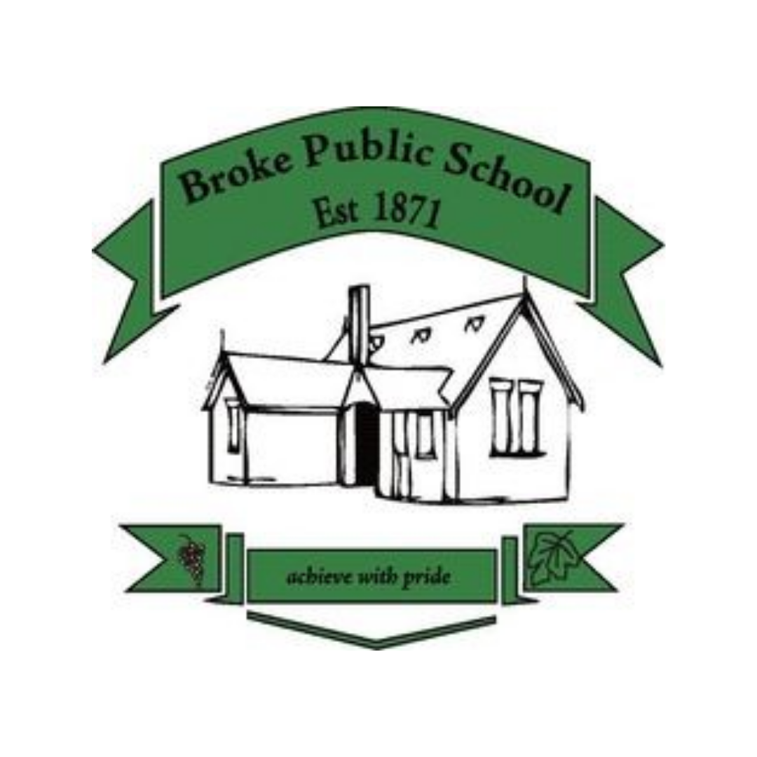 Broke Public School.png