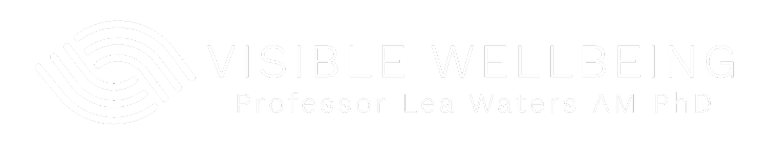 Visible Wellbeing