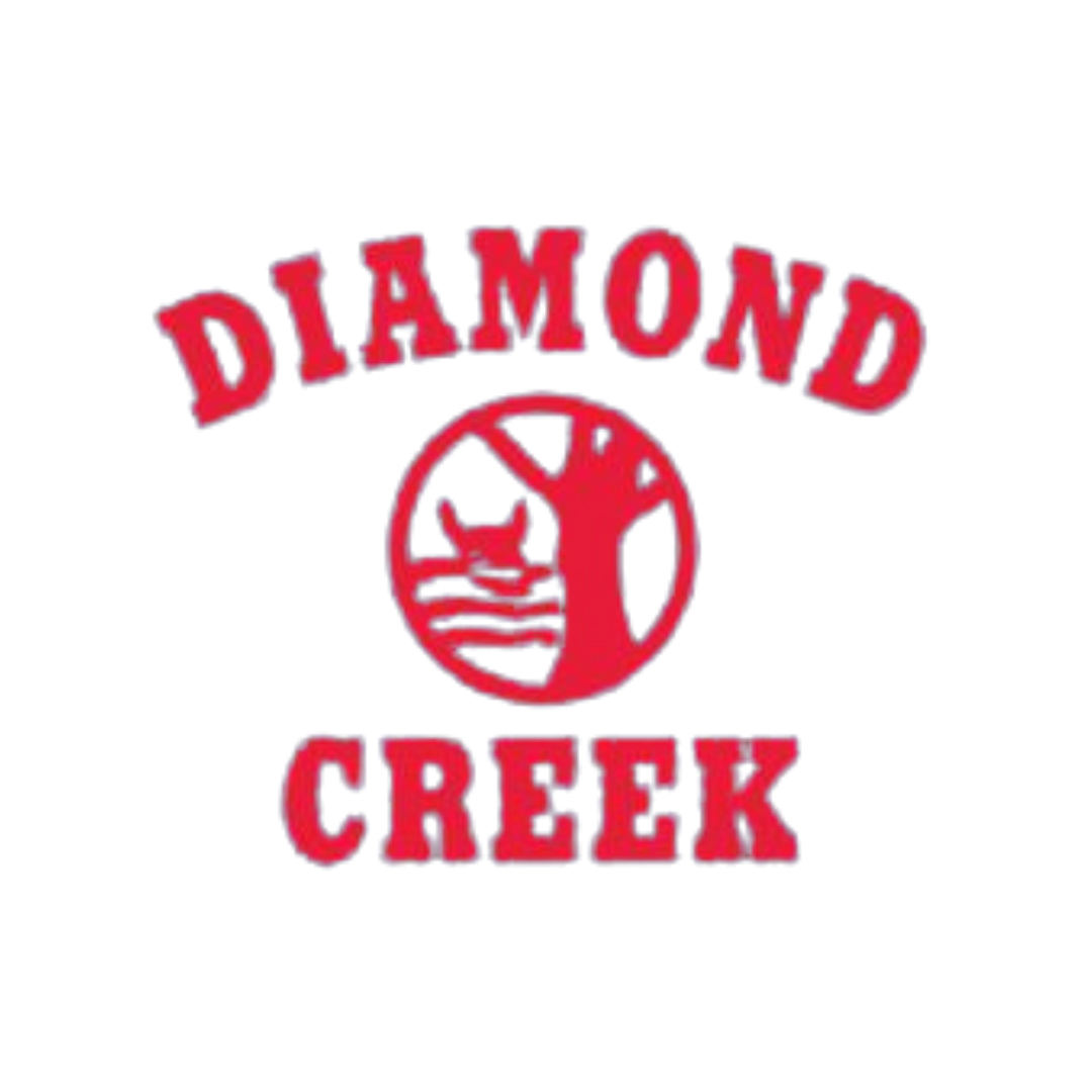 Diamond Creek Primary School.png
