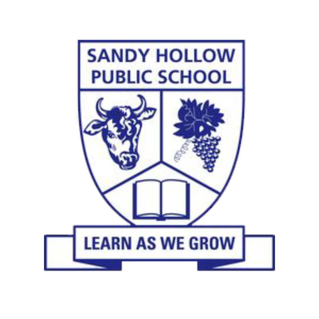 Sandy Hollow Public School.png